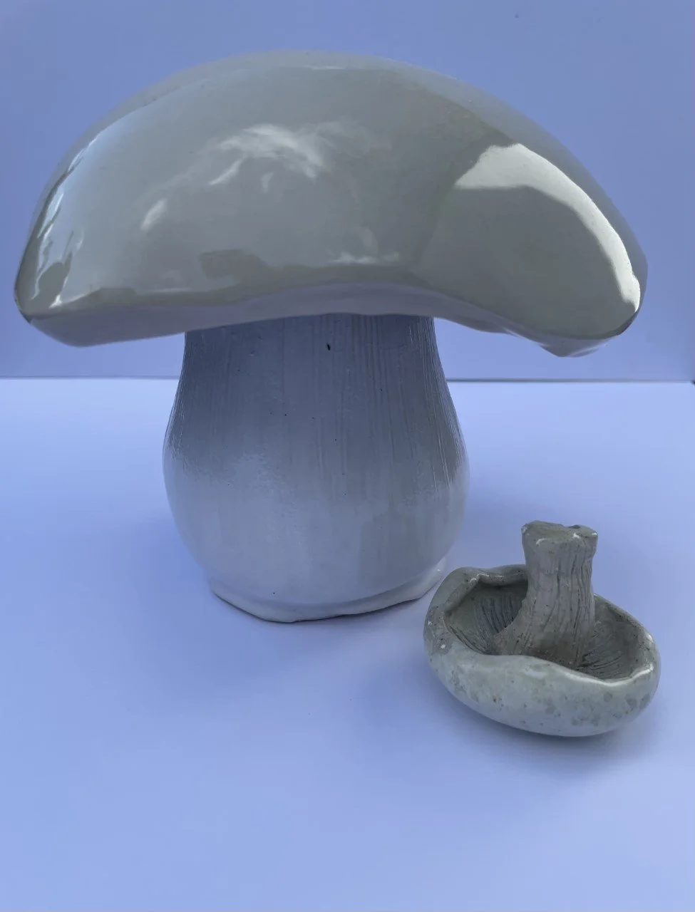 Donna's handmade clay mushrooms. Available in all sizes and colours. Discuss if you want the lid made to be removed so you can store things inside
