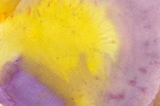 JUNE HALF TERM KIDS - Friday 5th June 2-3pm - Tie Dye