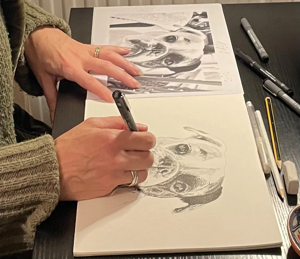Pet portraits. Donna can capture the personality of your pet. She likes to focus on their face. She uses pen and ink and they are on A4 watercolour paper. Email a good quality image of your pet. The better the image the better the portrait!