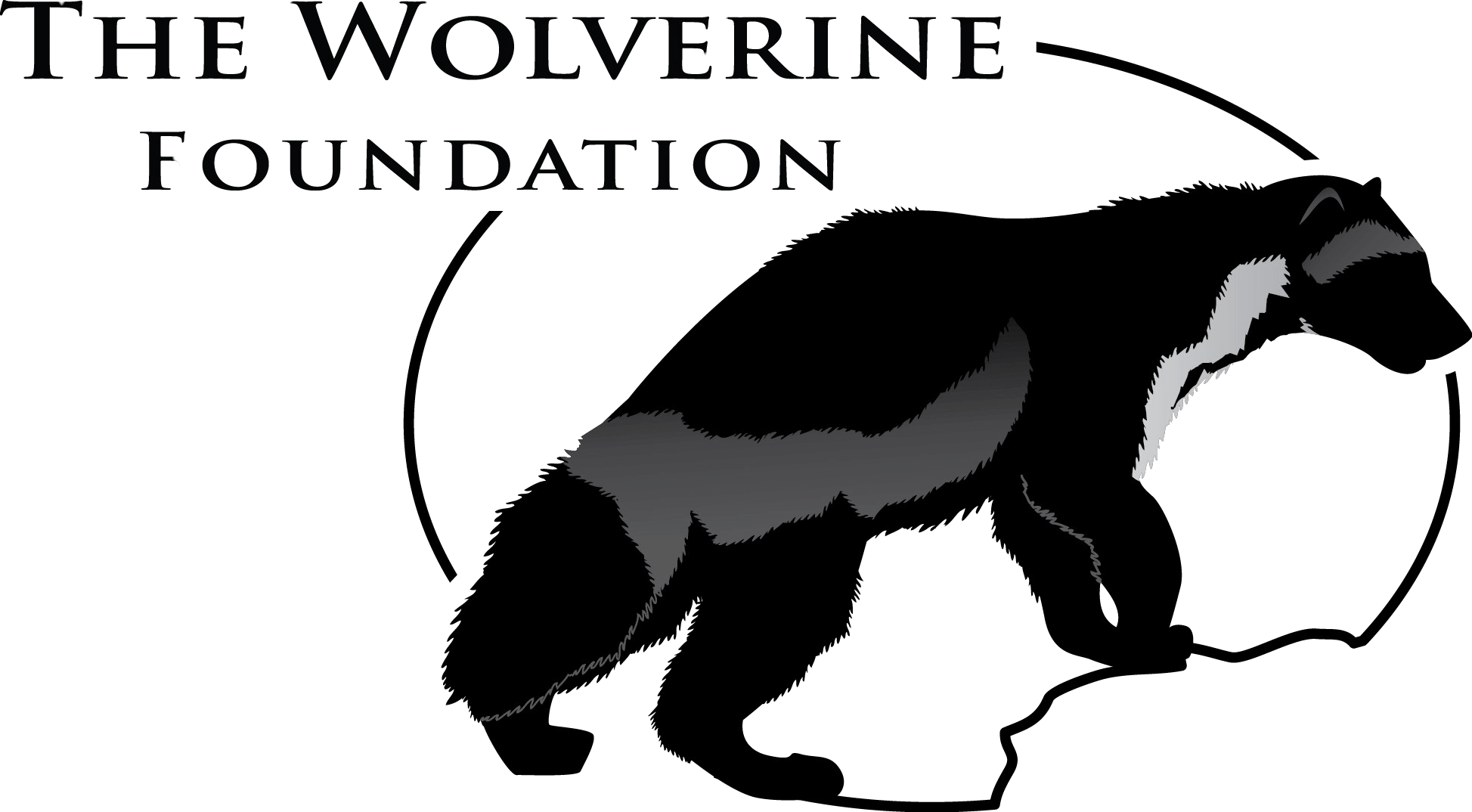 TWF logo transparent (1).png