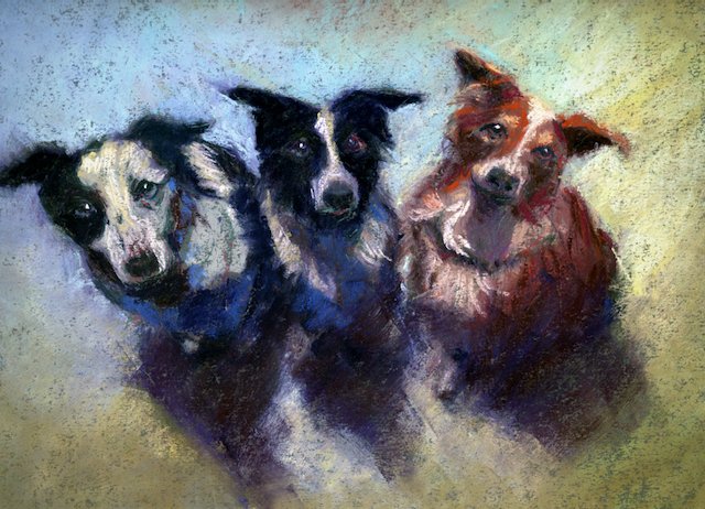 26-184w3DogNight copy.jpeg