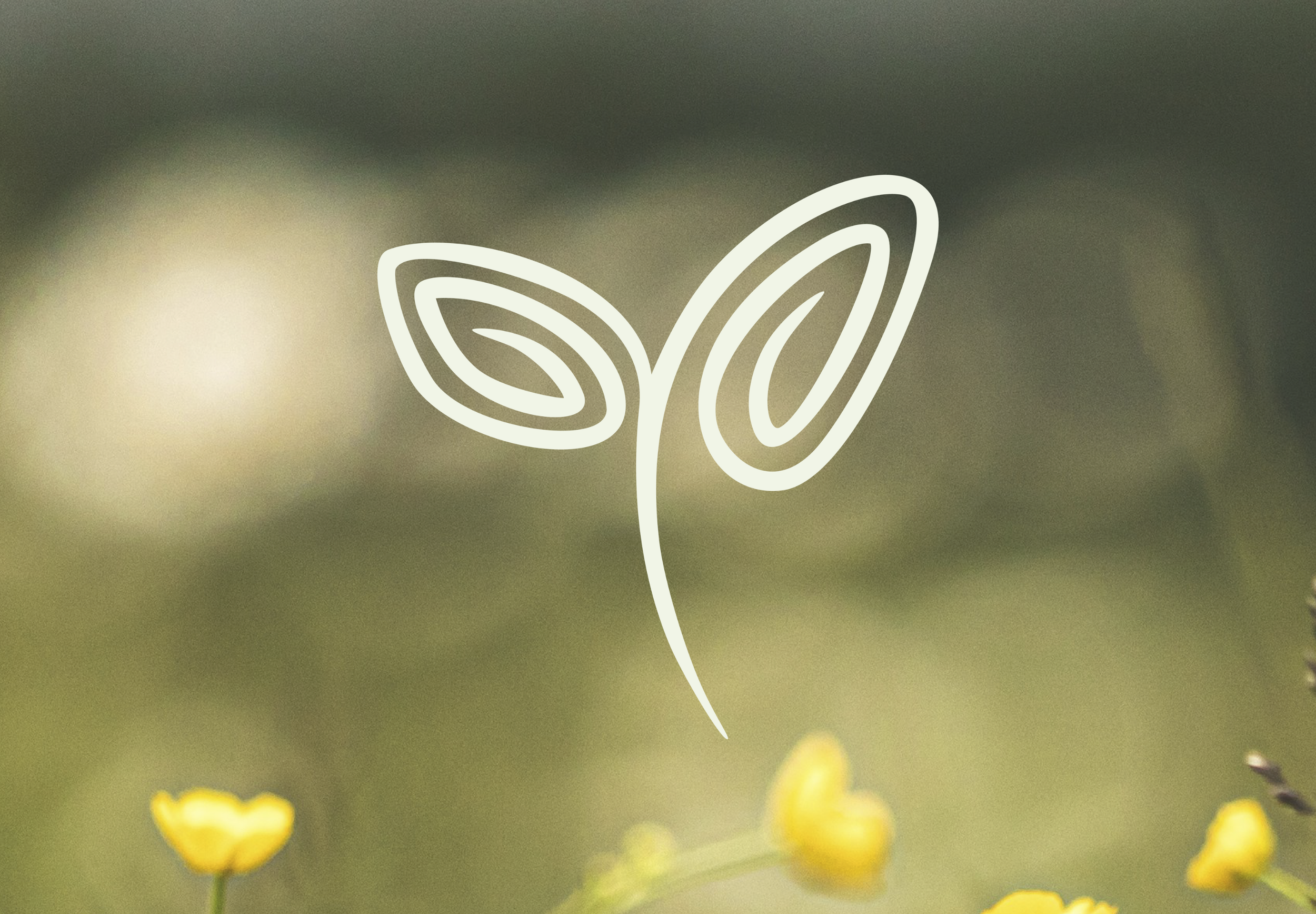 Abstract outline of a plant with leaves over a blurred background of green and yellow flowers.