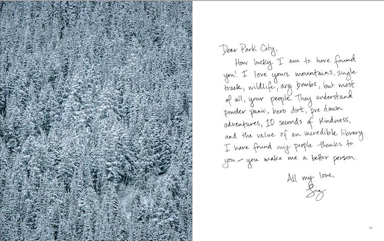 Dear_Park_City_by_Meander_Collection_Preview_8.png.jpeg