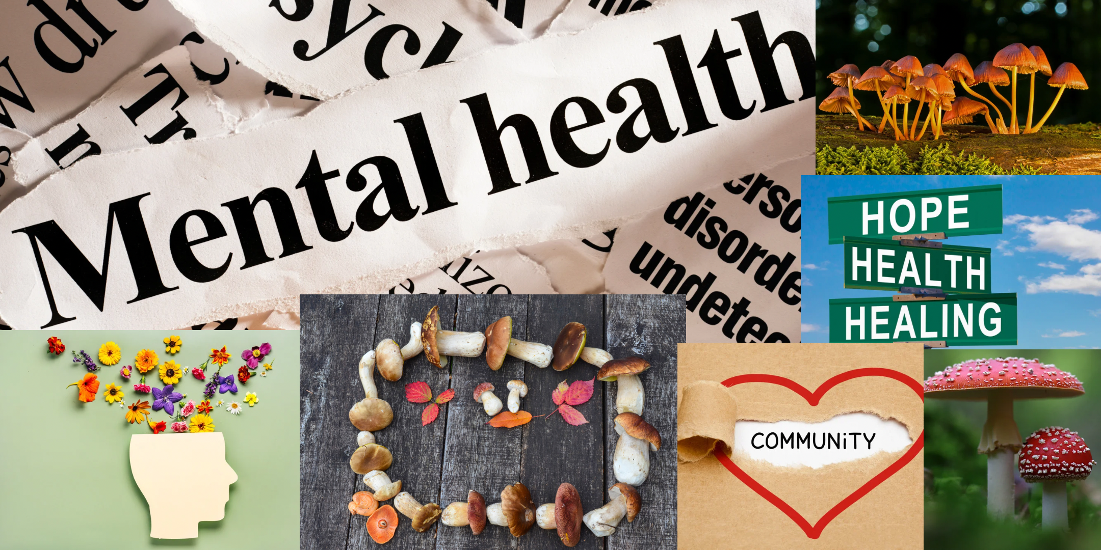 Micro-dosing for Mental Health
