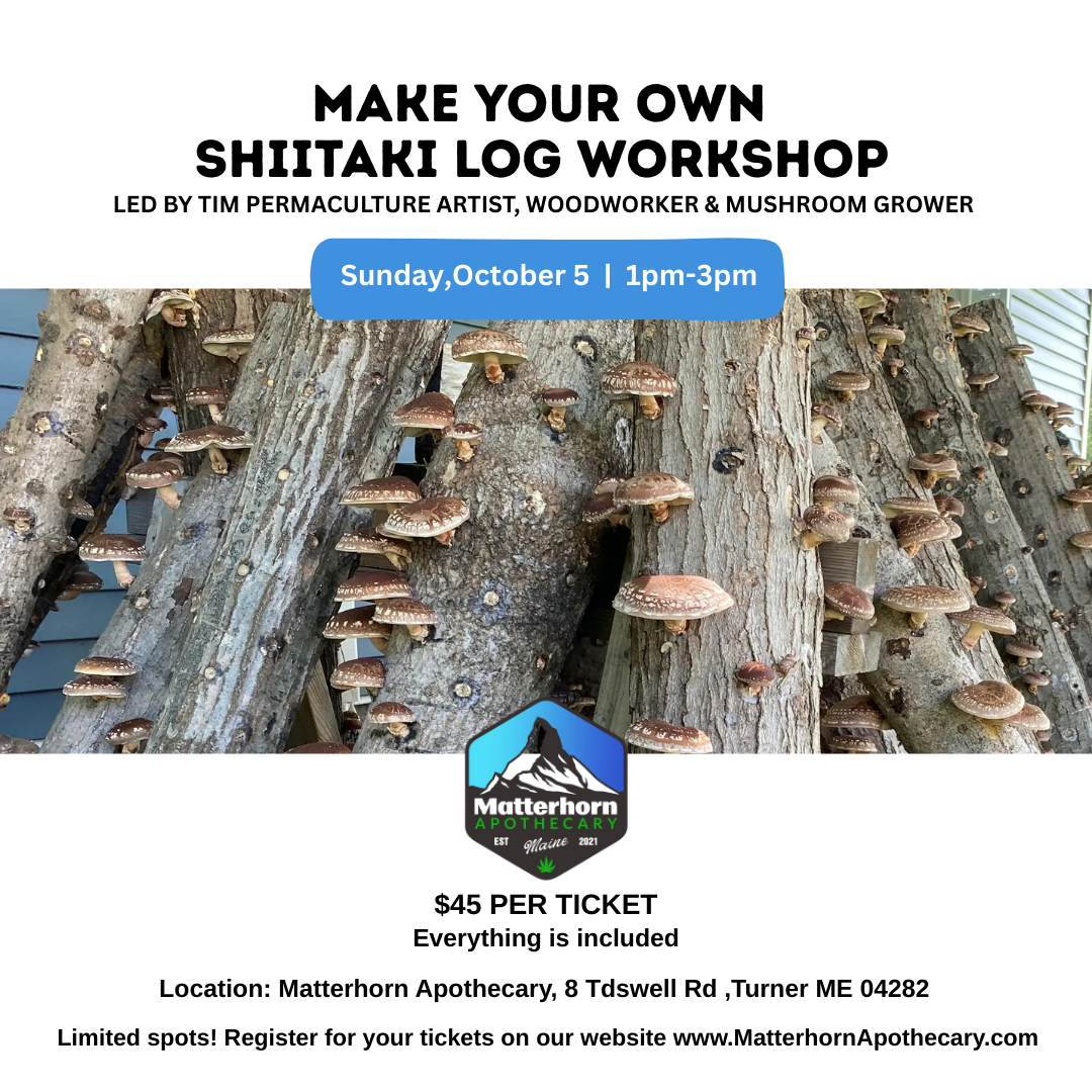 Make Your Own Shiitake Log Workshop