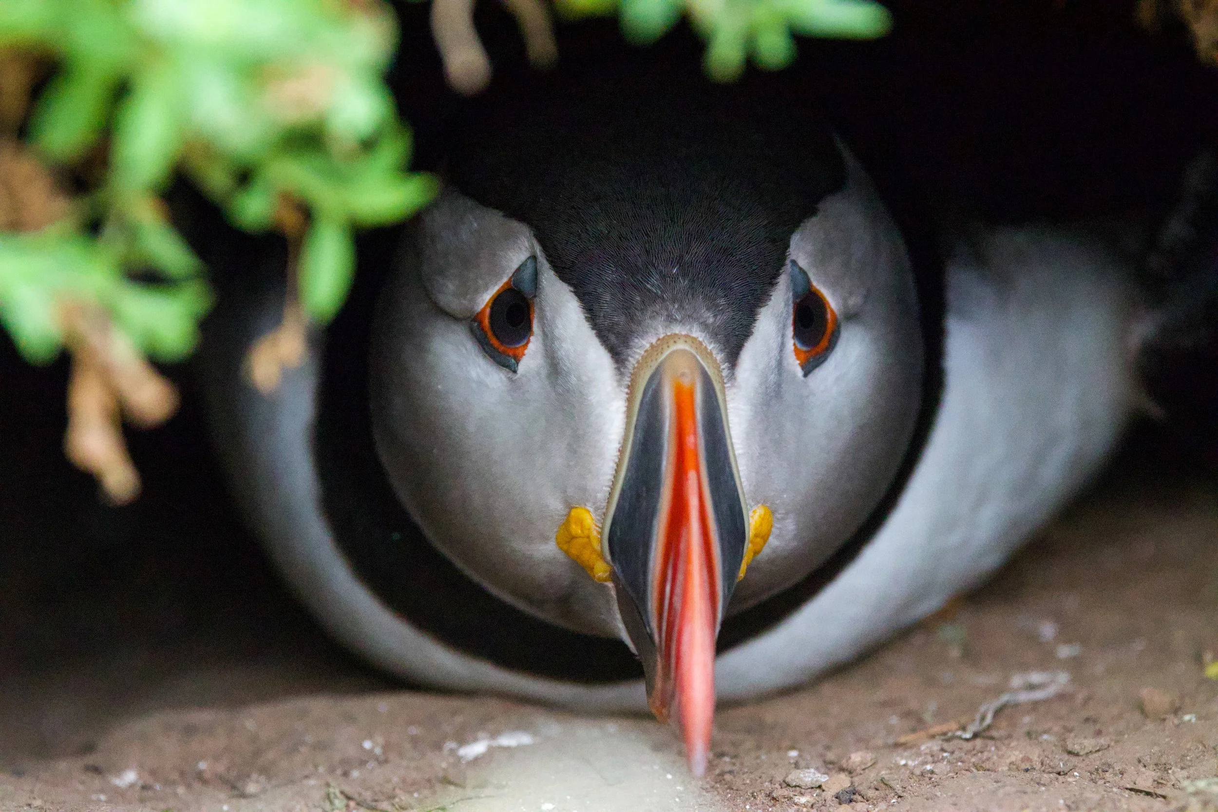 5R2A5354_cr3 smaller.jpg