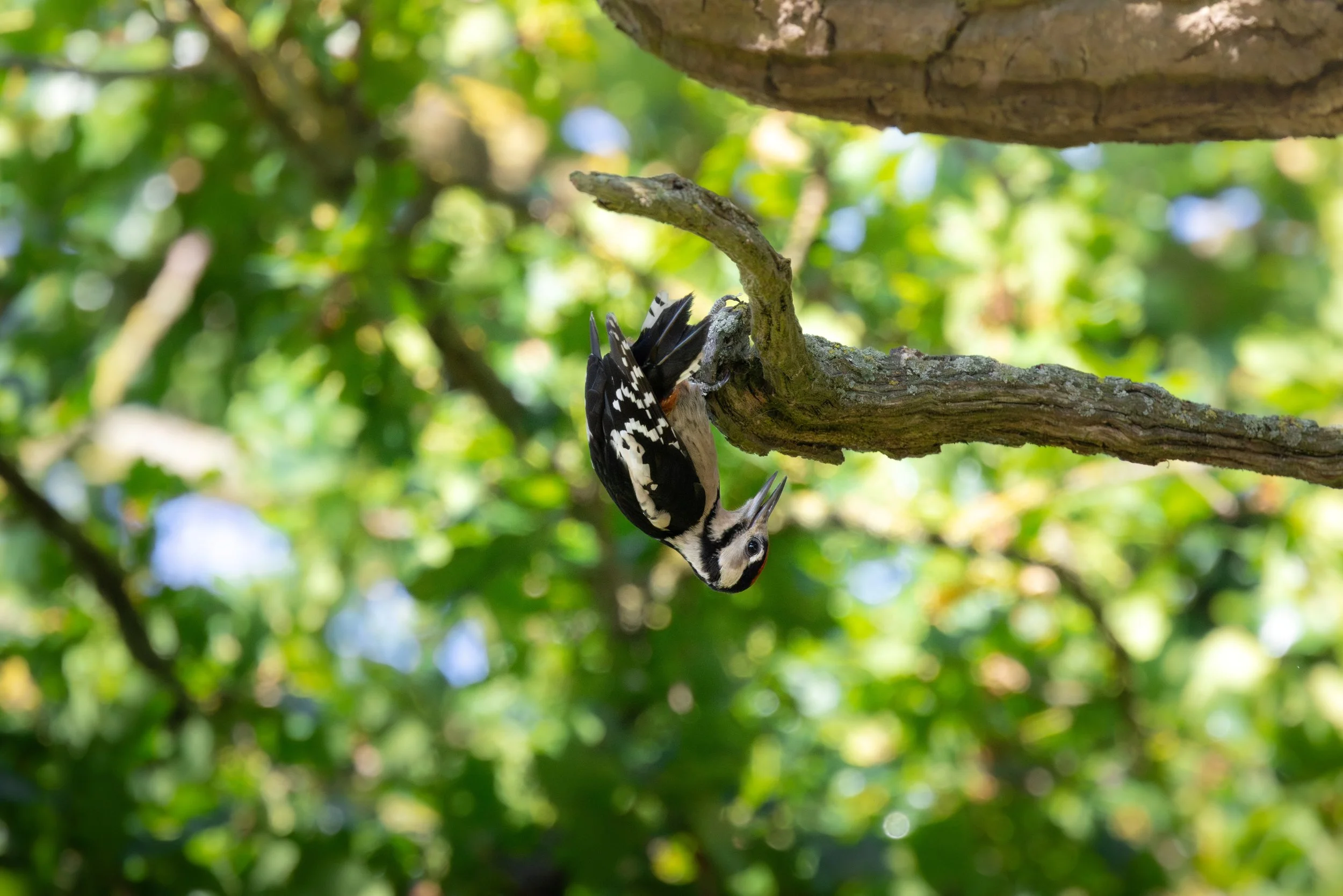 5R2A1404 smaller.jpg