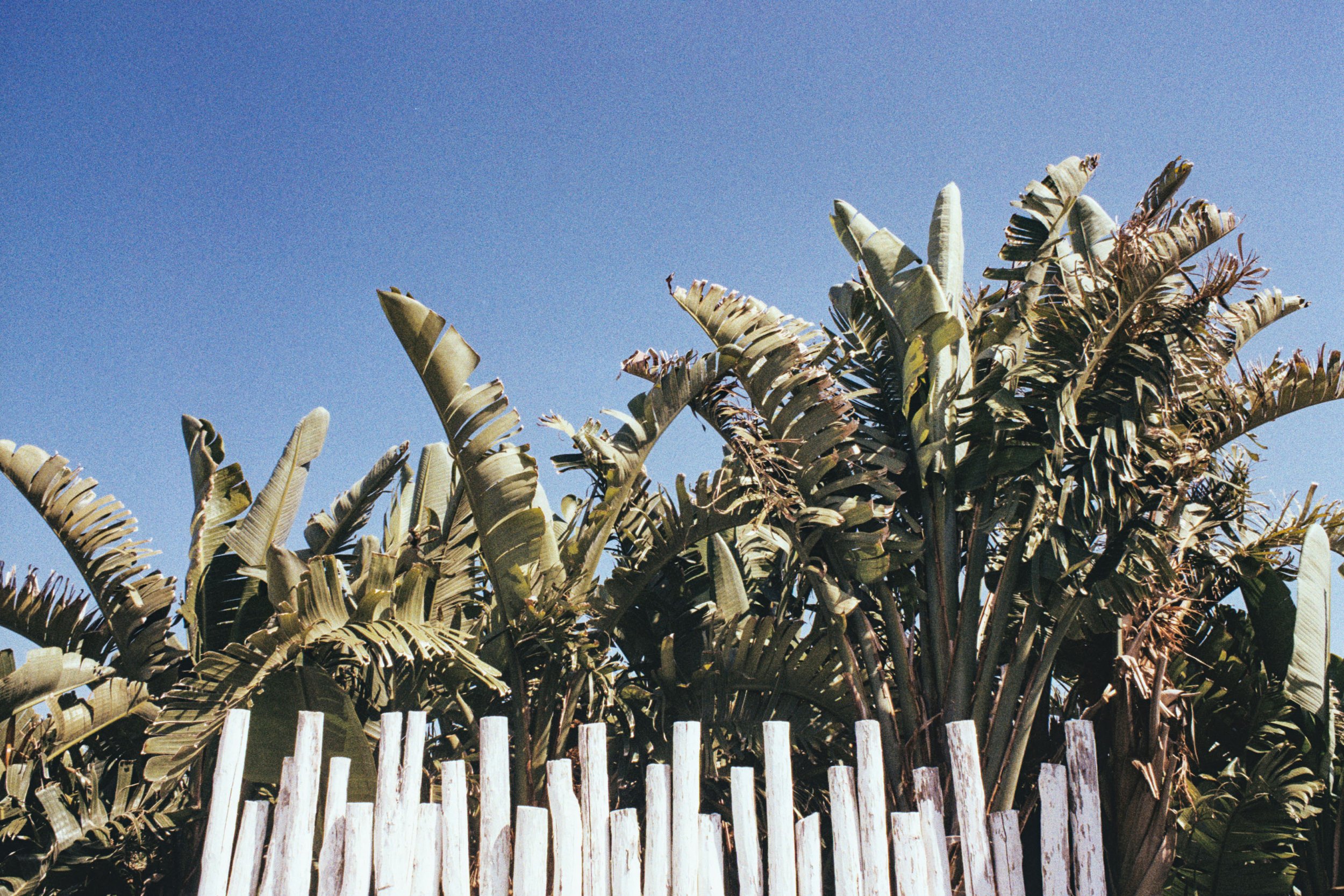 002-AA_0000A.jpg