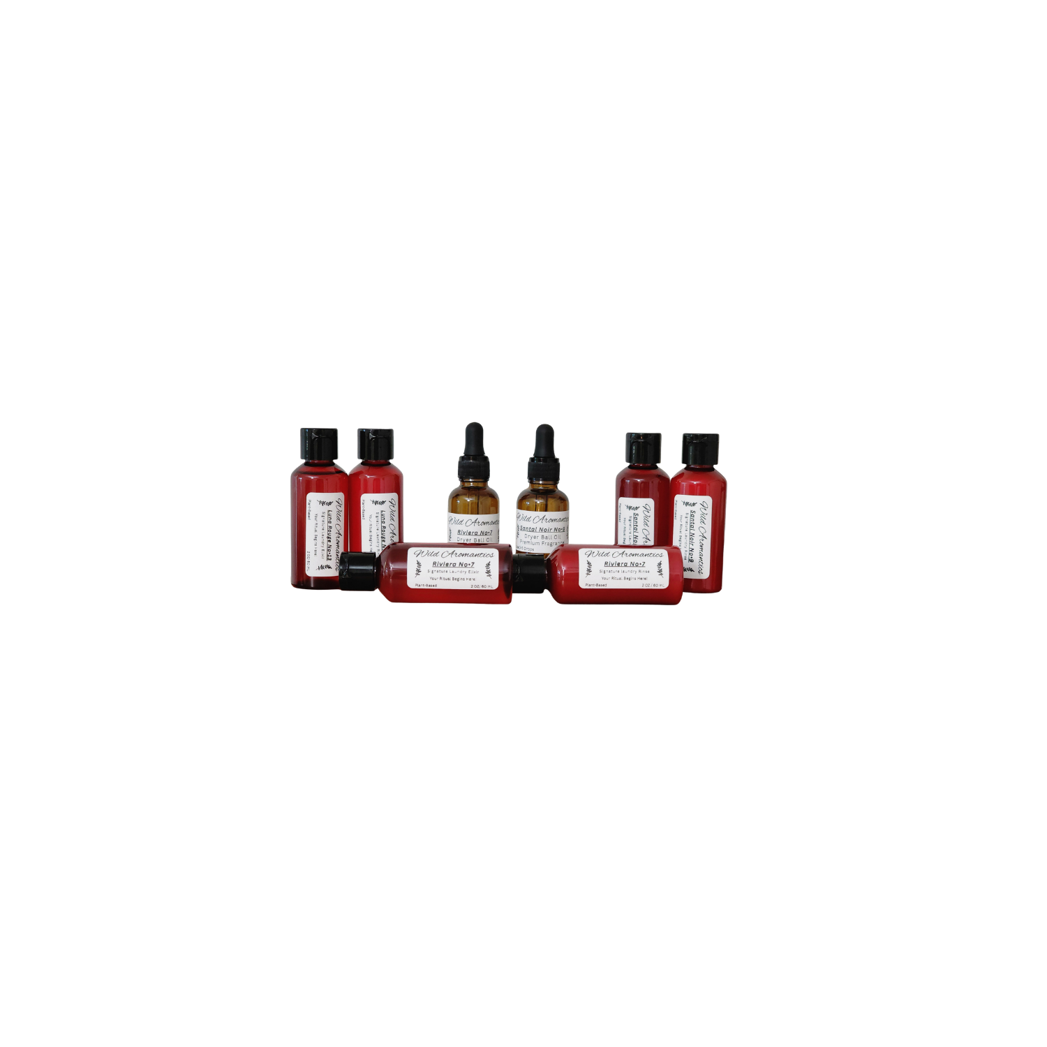 FREE Discovery Kit