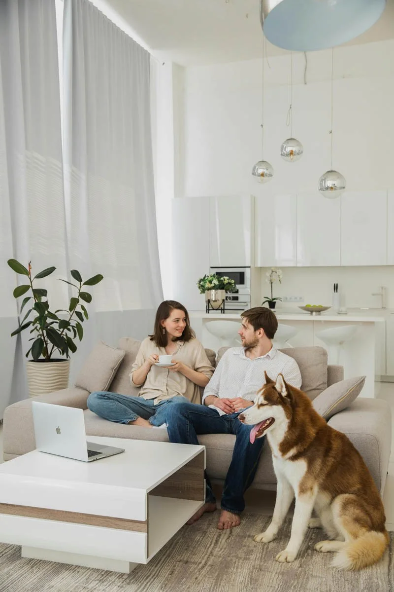 A couple sitting on a beige sofa in a bright, modern living room with a Siberian Husky dog. The woman is holding a cup, and they are looking at each other. There is a white coffee table with an Apple MacBook, a large potted plant, and bright white curtains in the background.