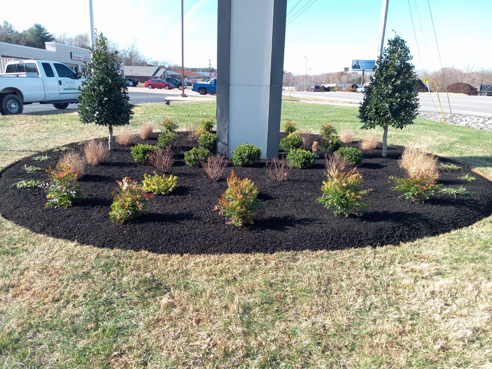 Decorative garden with two small trees and various shrubs surrounding a metal structure, on an area with freshly laid black mulch, near a busy road.