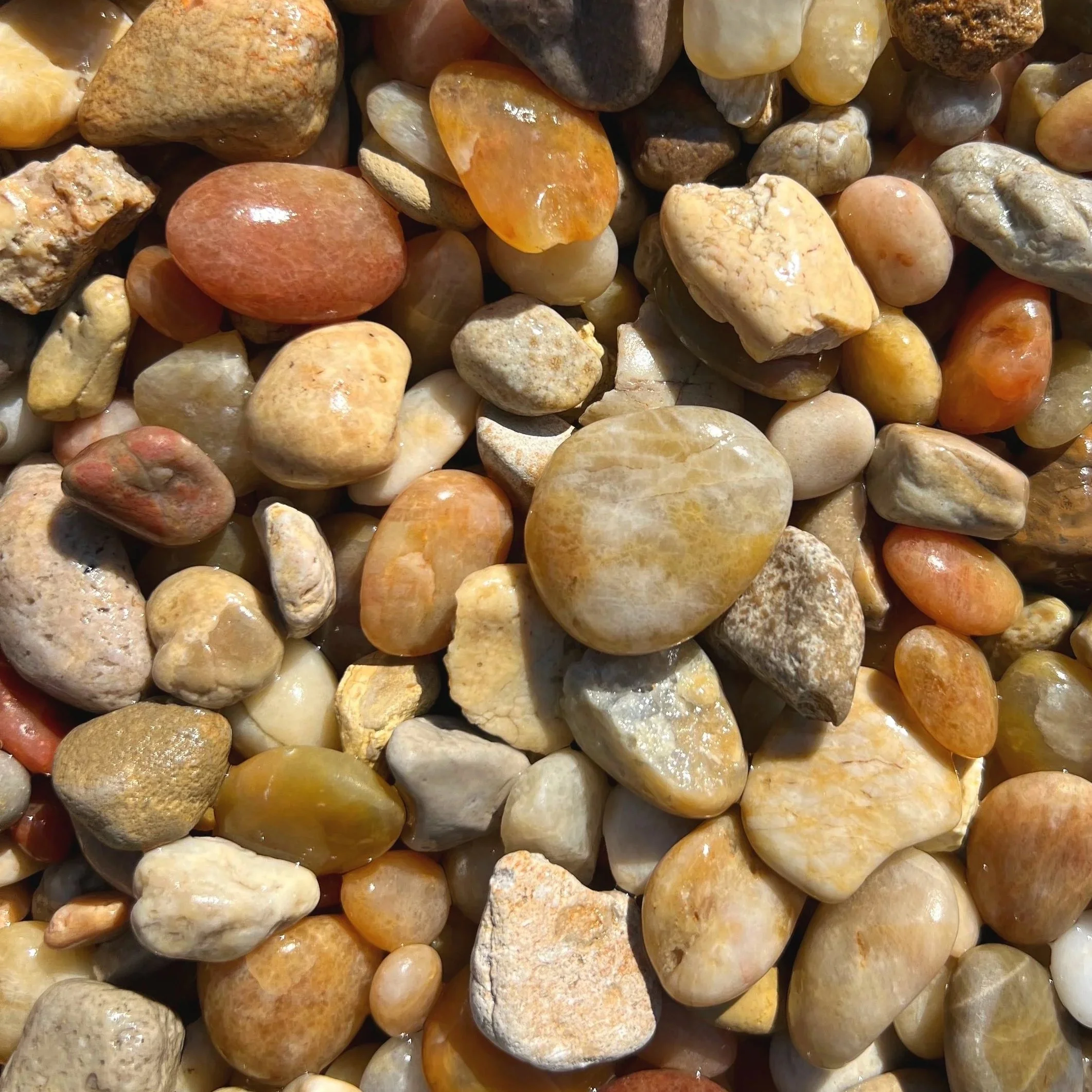 Close-up of smooth, rounded, multicolored pebbles, including shades of beige, yellow, orange, brown, and gray.