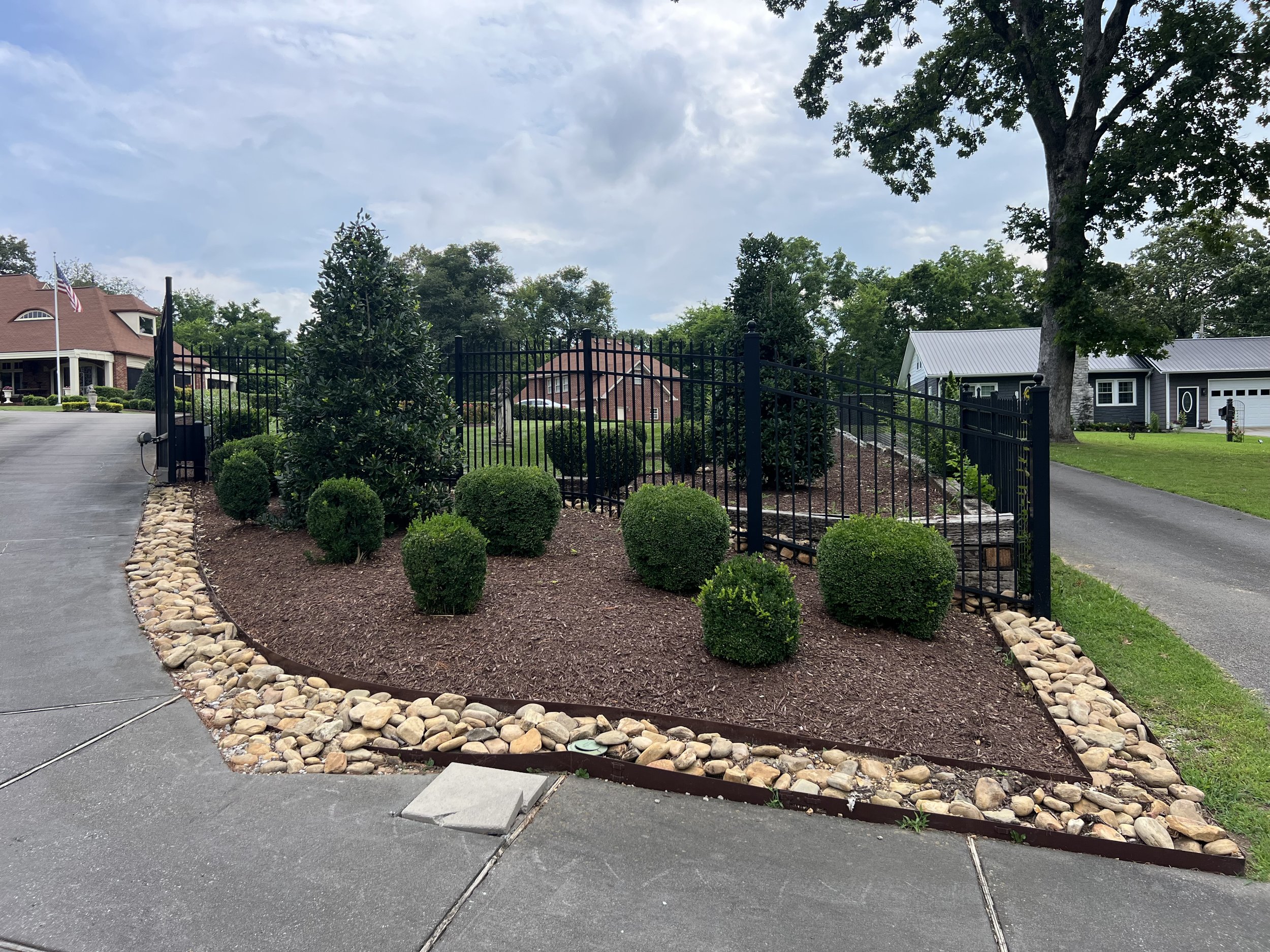 Landscaped garden with small green bushes, a large tree, and a black metal fence, bordered by stones and mulch, in a residential area.