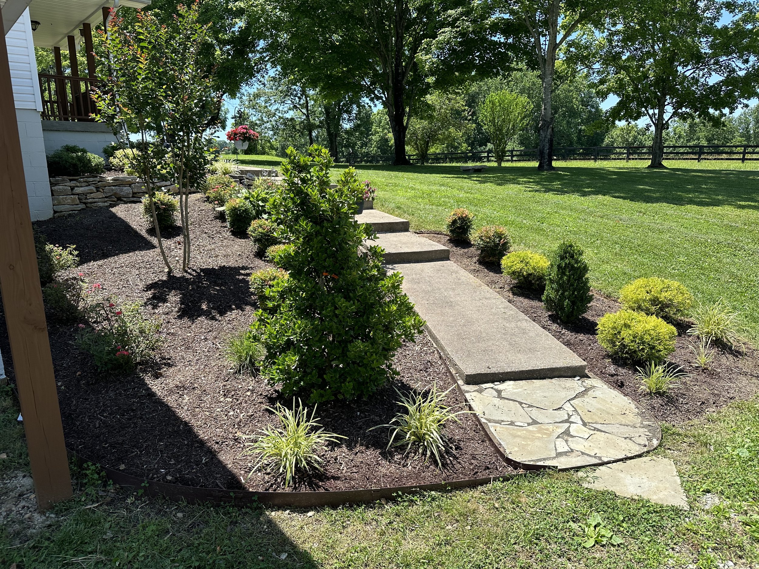 Side view of a well-maintained garden with small shrubs, a tree, and a stone pathway on a sunny day, with a lawn and trees in the background.