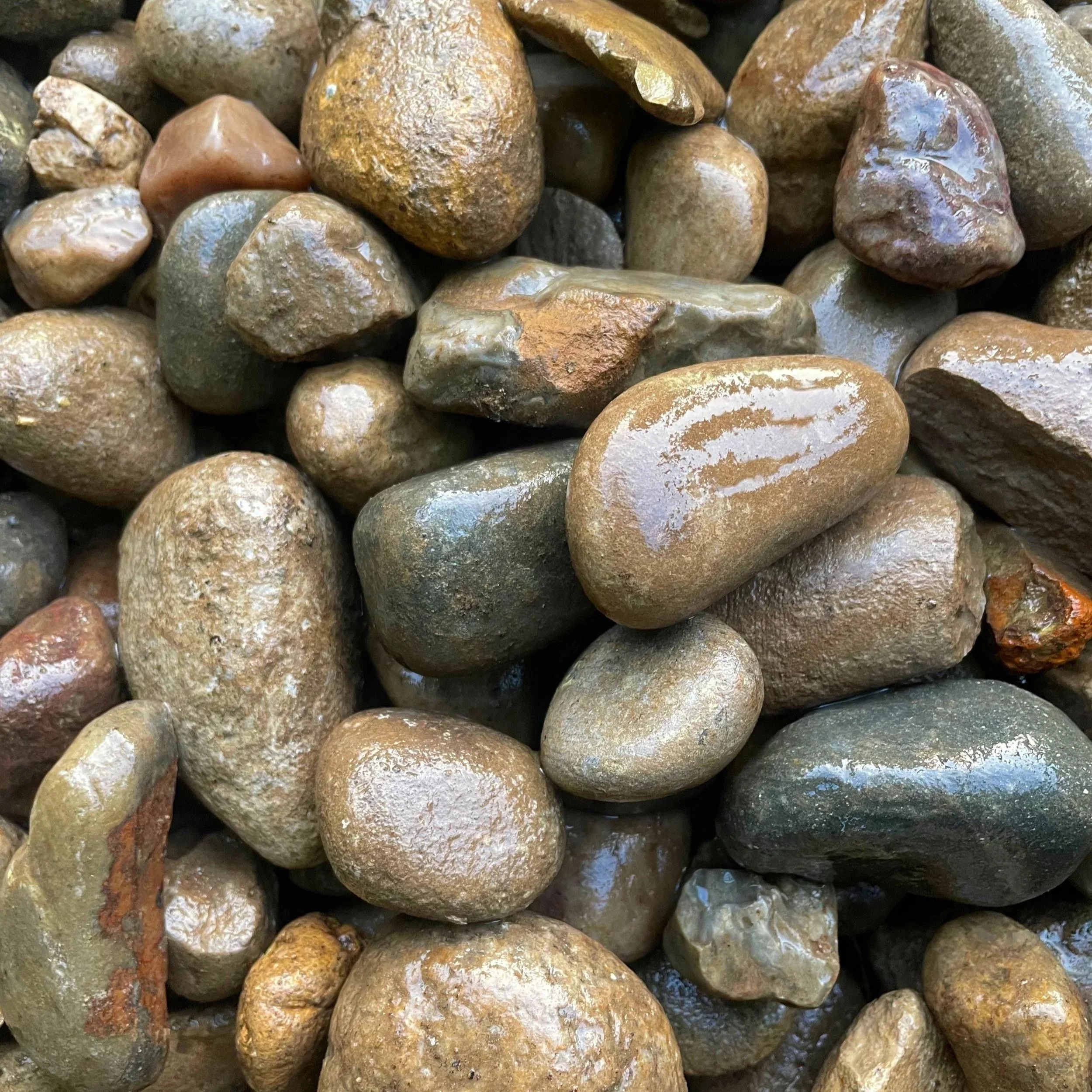 Close-up photo of wet, multicolored rocks of various shapes and sizes.