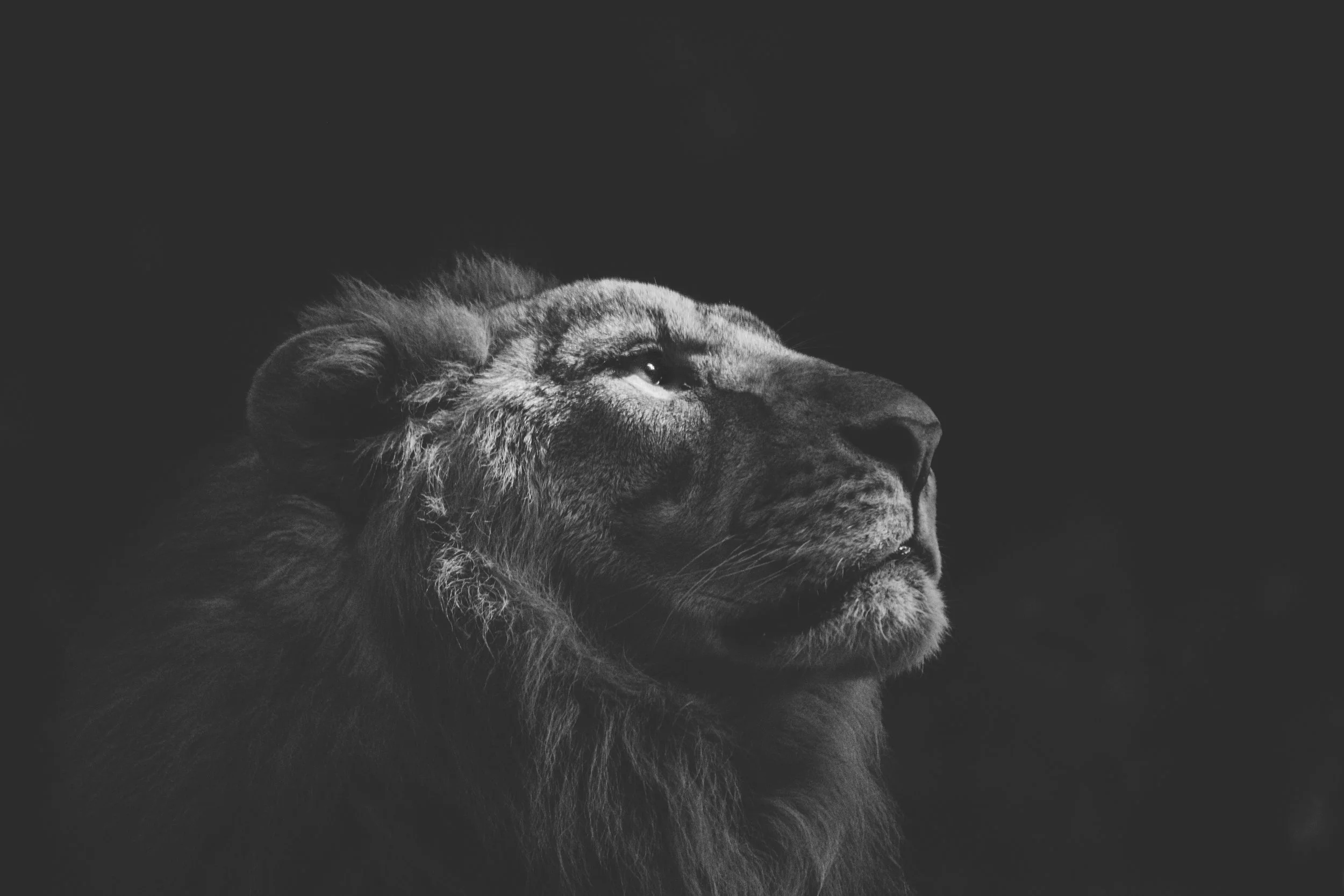 Redefining Leadership from the Inside Out