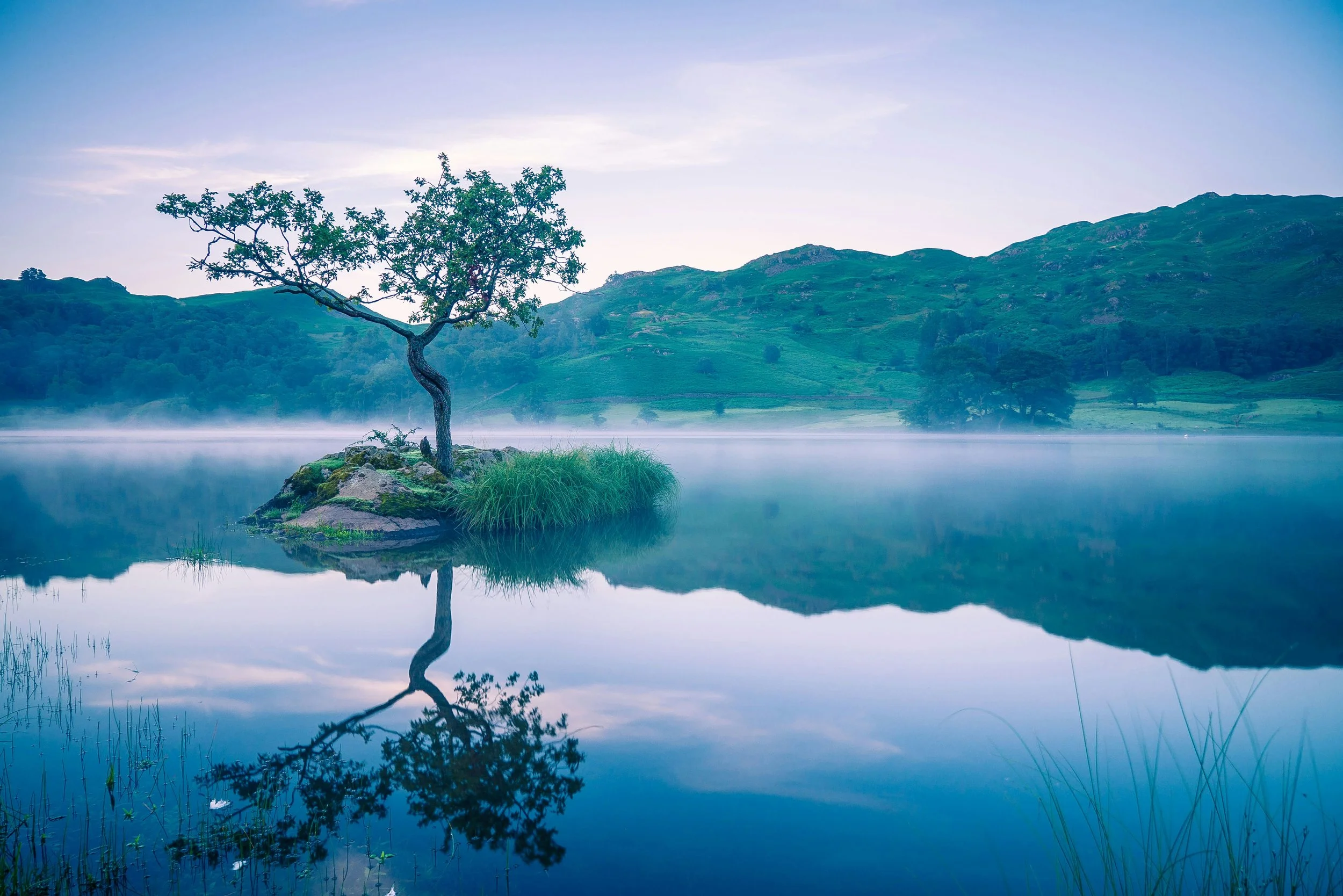 Strategic Stillness: When Less Is More