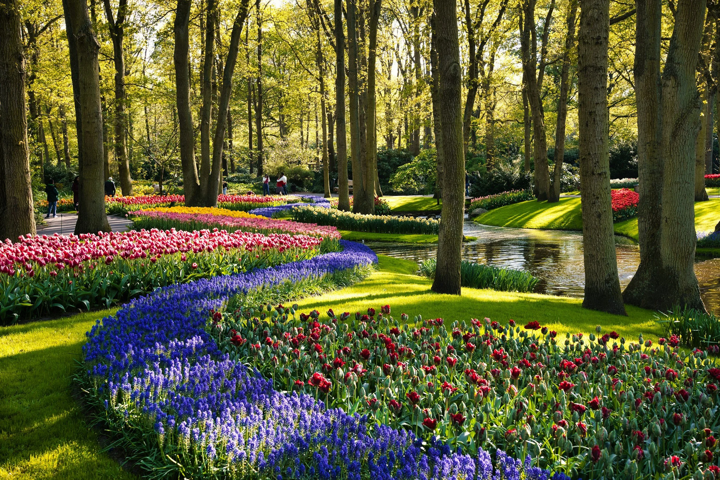The Netherlands – Go Big or Go Home