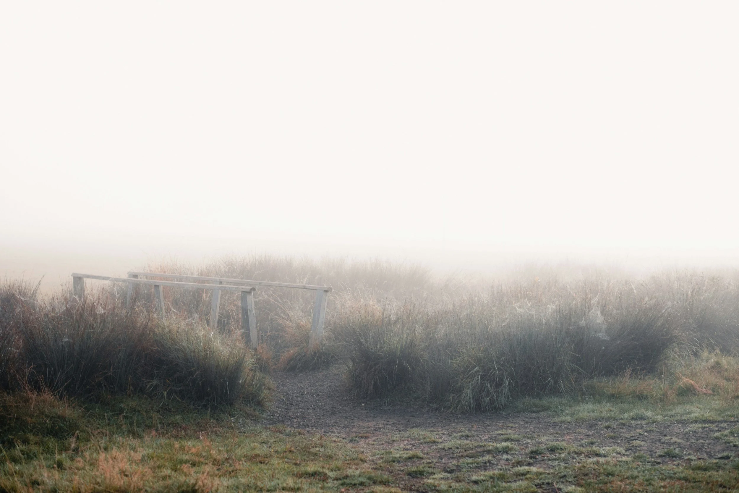 Patience (Part 2): The Active Practice of Waiting