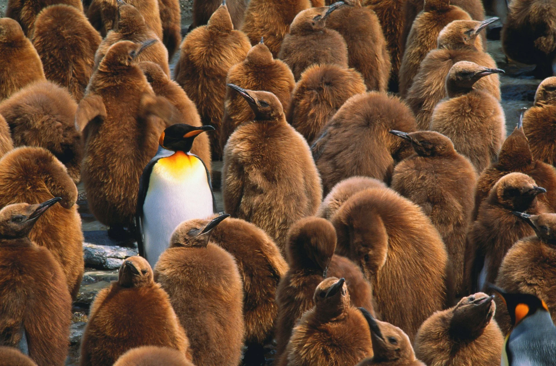 The Courage to Stand Apart
