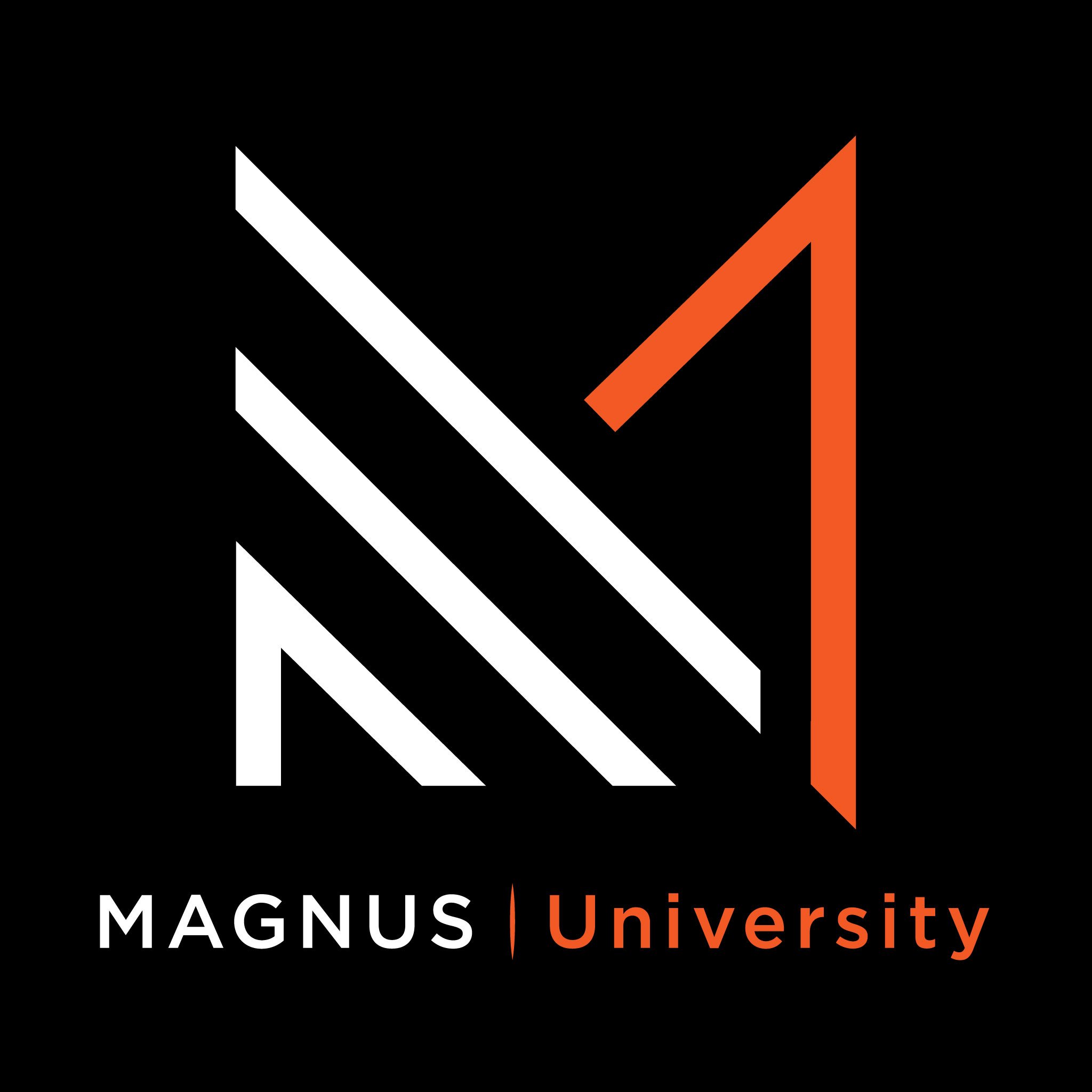 MAGNUS | University