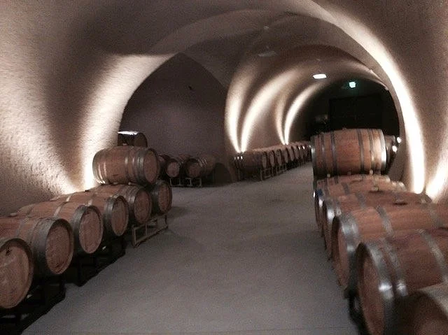 Oranssi technician working on a roof project