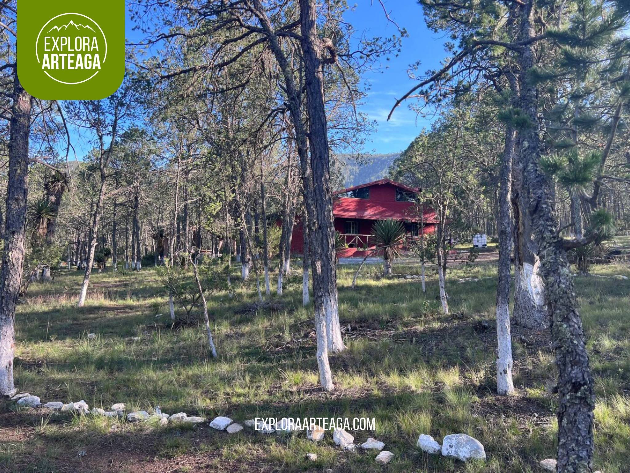 cabana-49-explora-arteaga-12.jpg