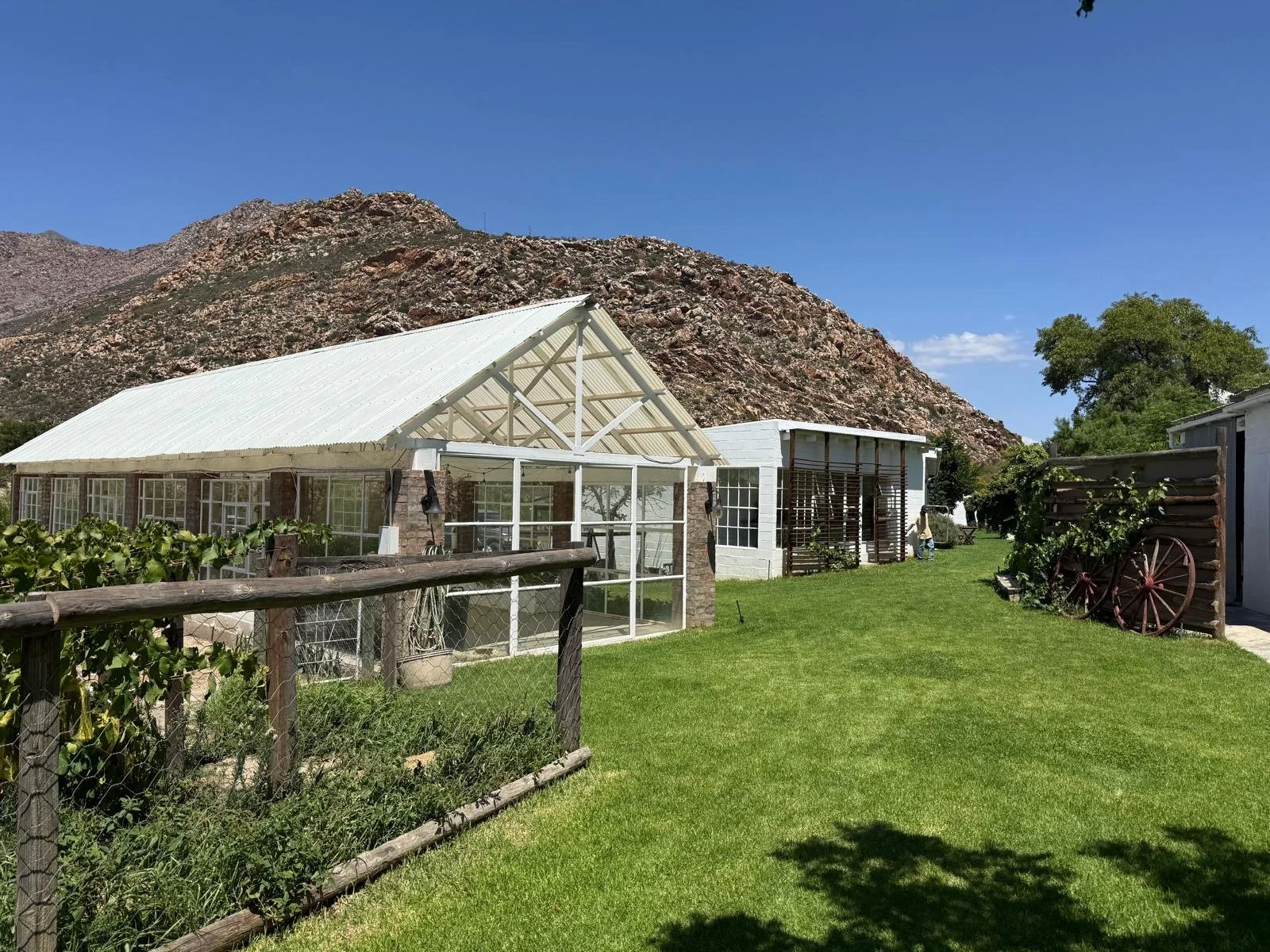IFAM-SouthAfrica-2026-FijnBotanicals3.JPG