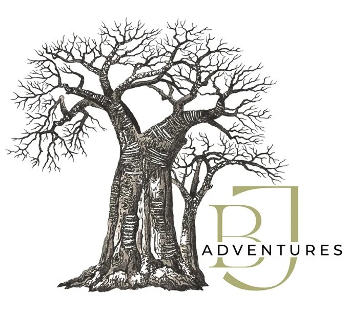 BJ Adventures