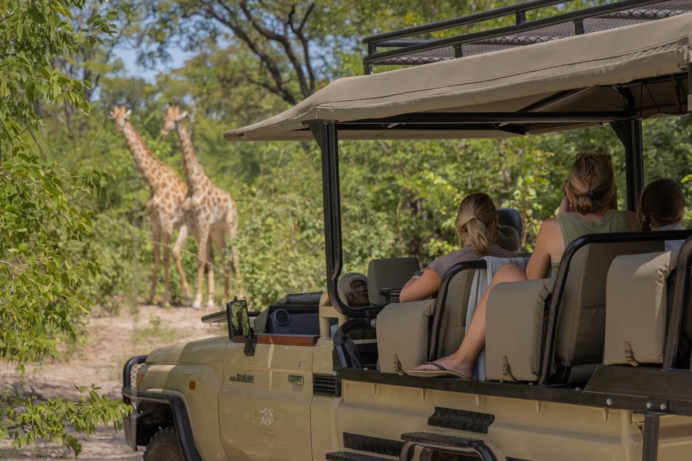 Safari Life-9lLTKL2M.jpg
