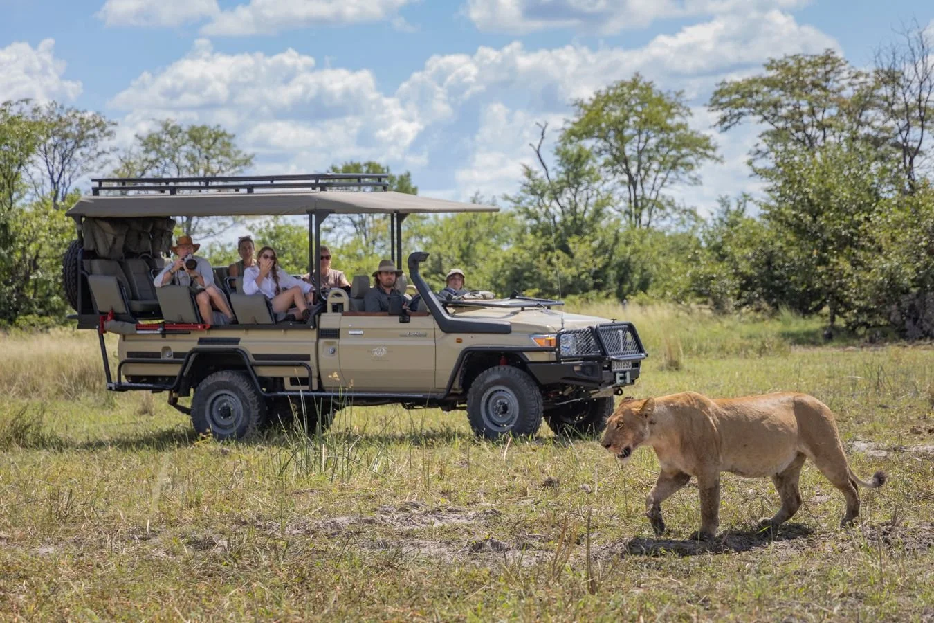 Safari LIfe-MJBnaZPl.jpg