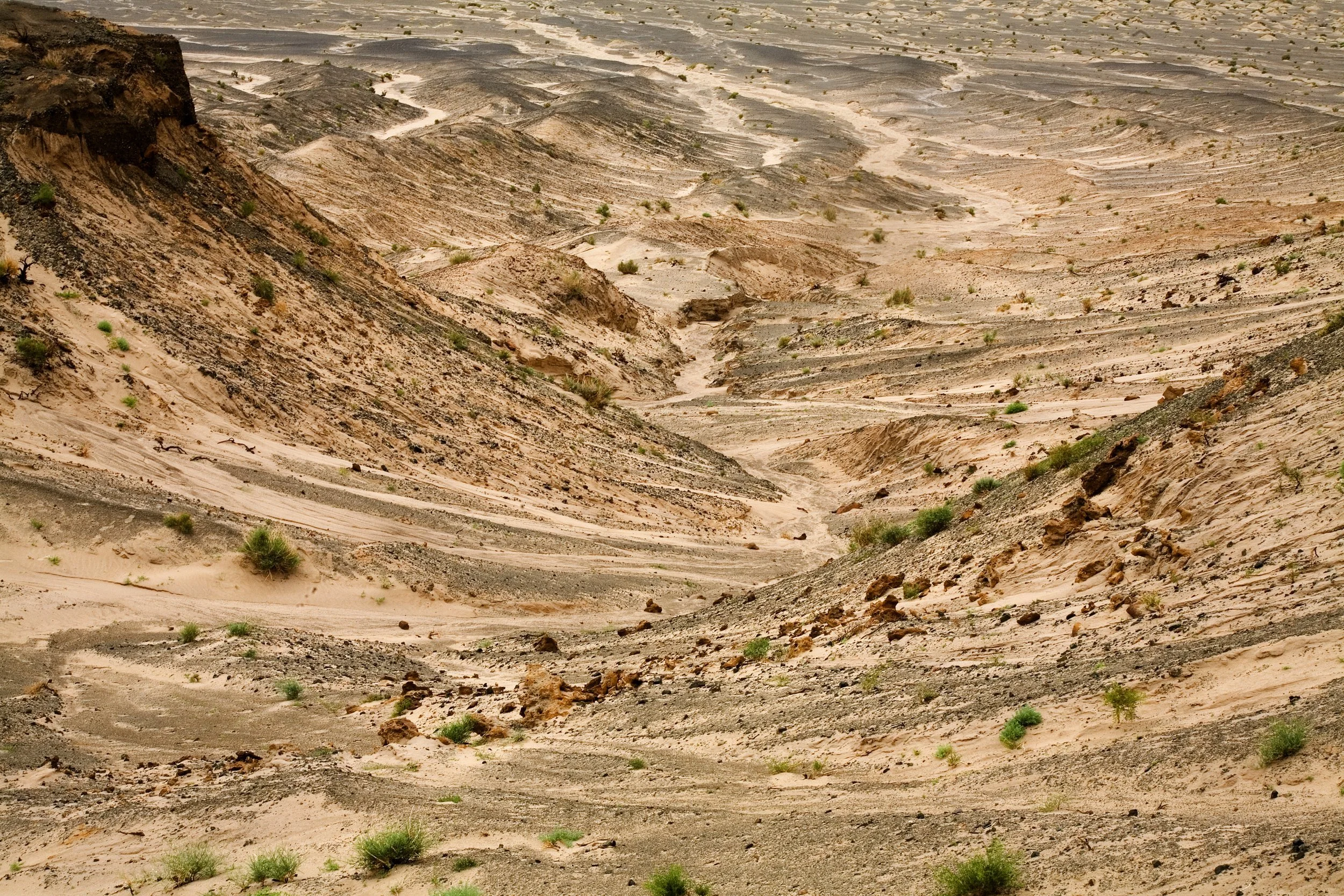 Mongolia-Gobi-Bulgan-Tugrugyn+Shiree-Deep+Ravine+shot-Close+Up-copyright-Barbara+Balik.jpg