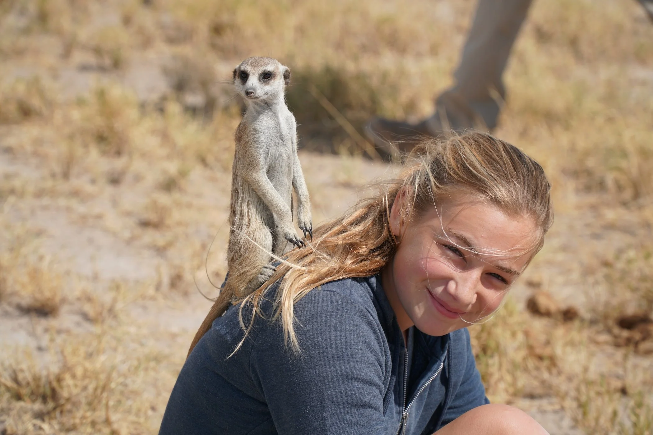 DSC01630_Meerkat.JPG