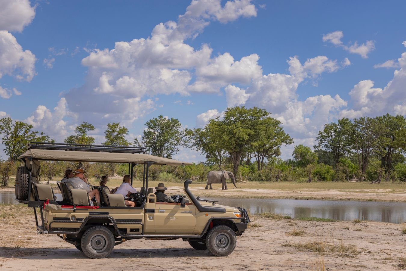 Safari Life-9hWLuH1X.jpg