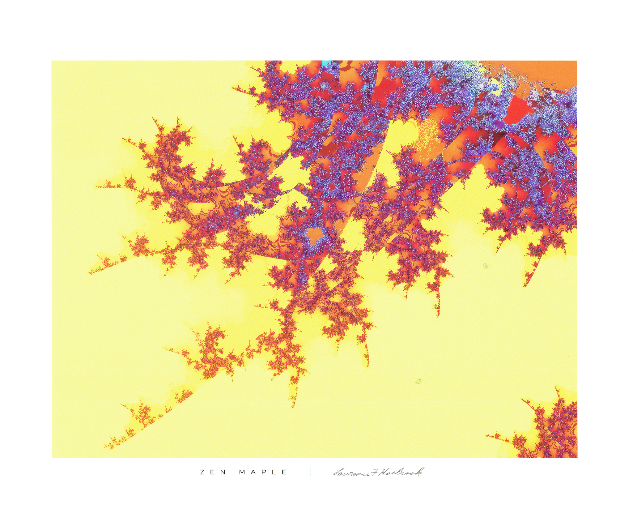 Zen Maple Print.png