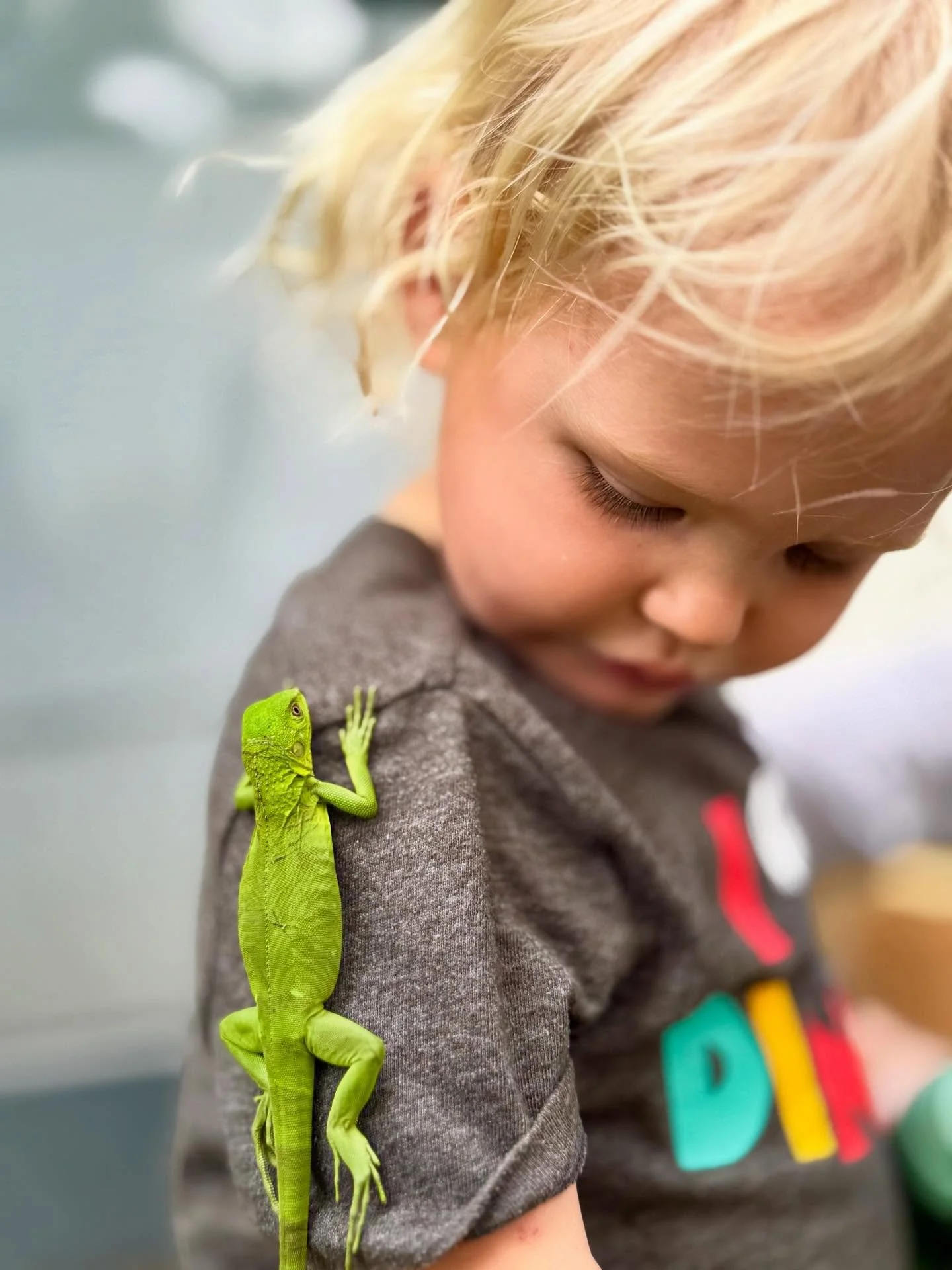 &ldquo;Show forth the utmost loving-kindness to every living creature.&rdquo; &mdash; &lsquo;Abdu&rsquo;l-Bah&aacute;

Teaching our children to treat animals with tenderness isn&rsquo;t just about the creatures they hold &mdash; it&rsquo;s about shap