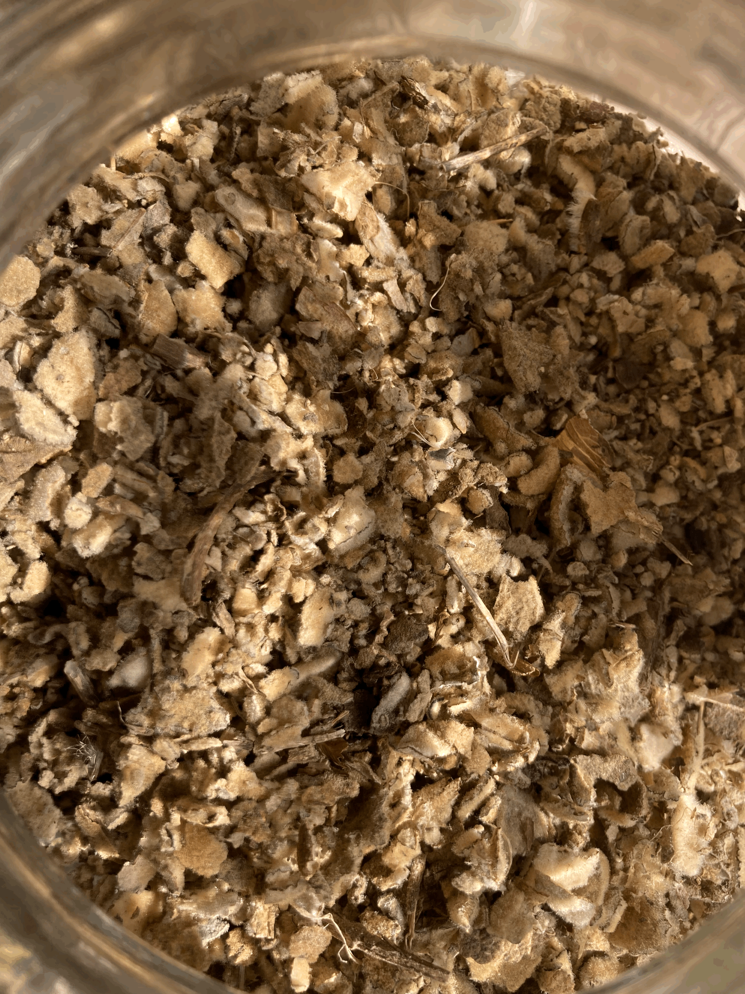 tempImageTEPtau.gif