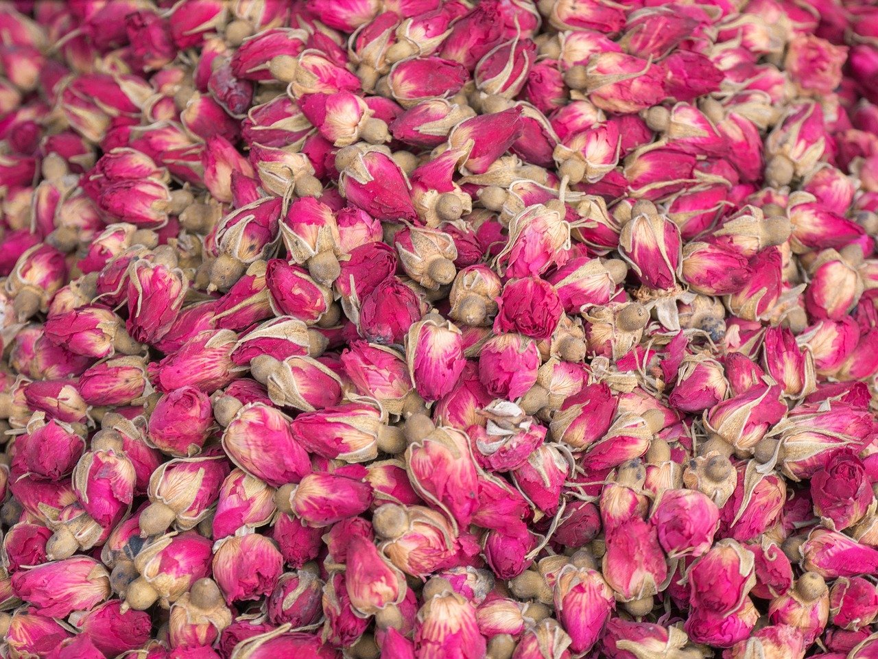 Rose Petals - Certified Organic