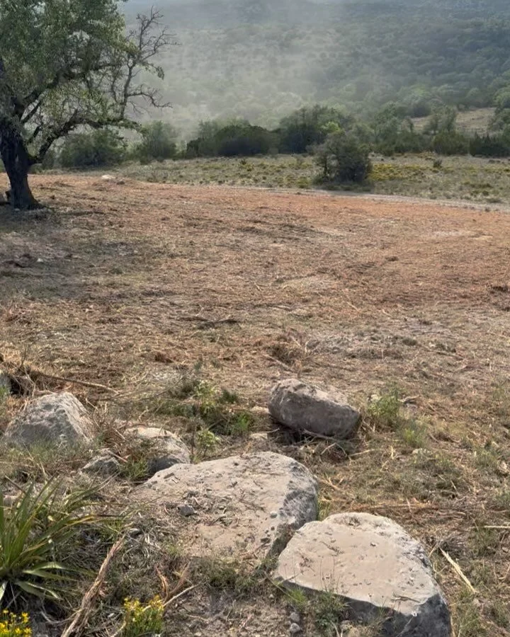 This view was completely blocked by cedar a week ago. Worth every bit of work the boys and I put into it!  #mulcher #mulching #forestrymulching #austintexas #atx  #hillcountry #texashillcountry #sanantonio #satx #texas #realtor #landclearing #newbrau