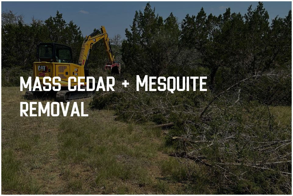 Mass Cedar and Mesquite 
Removal 
   Thinning, brush pile elimination, and mass removal of cedar, mesquite, and other invasive species.