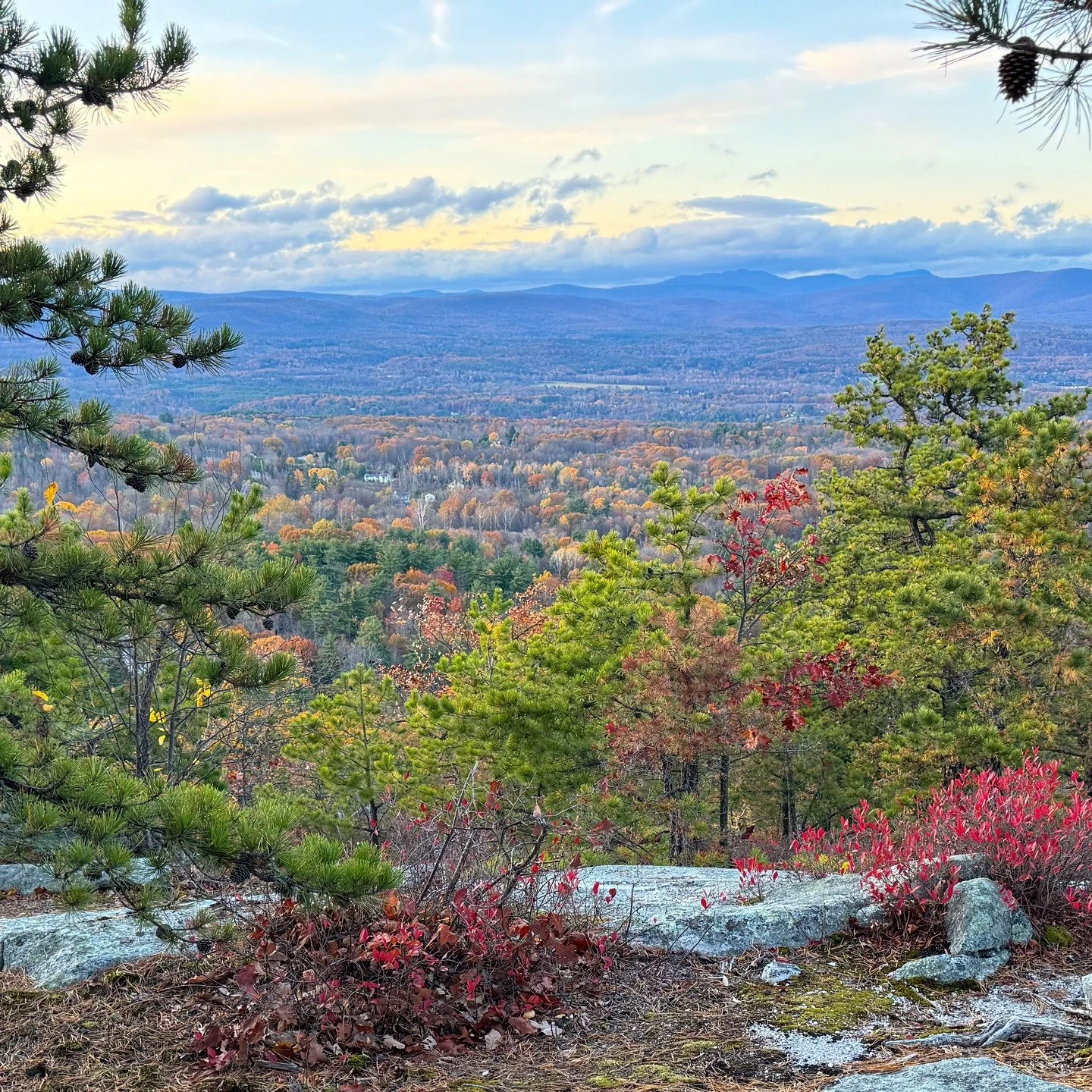 You're invited to our November Chill Hang next Thursday 11/13 from 6-8:30pm 🍂

This month's theme is A B U N D A N C E 🦃 And in that spirit, we ask that attendees help support our neighbors facing food insecurity. We'll be collecting donations and 
