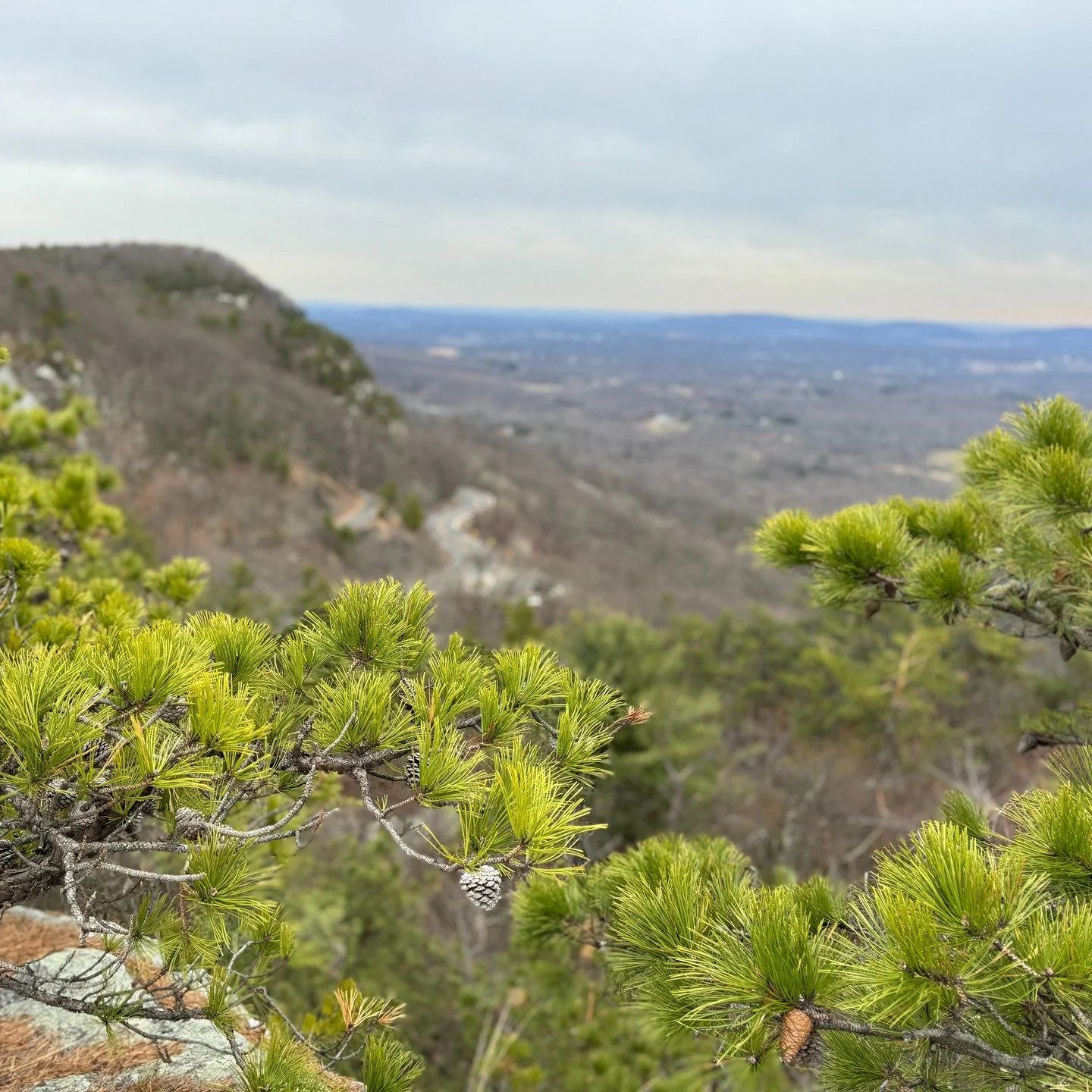 🌞 Next Chill Hang: 3/26/26 6:00pm - 8:00pm
🌝 Cost: Free (donations optional)
🌚 Location: @thebridgekingston - 93 Broadway Kingston, New York 12401

Spring is back, friends! Join our collective sigh of relief that winter&rsquo;s over and it&rsquo;s