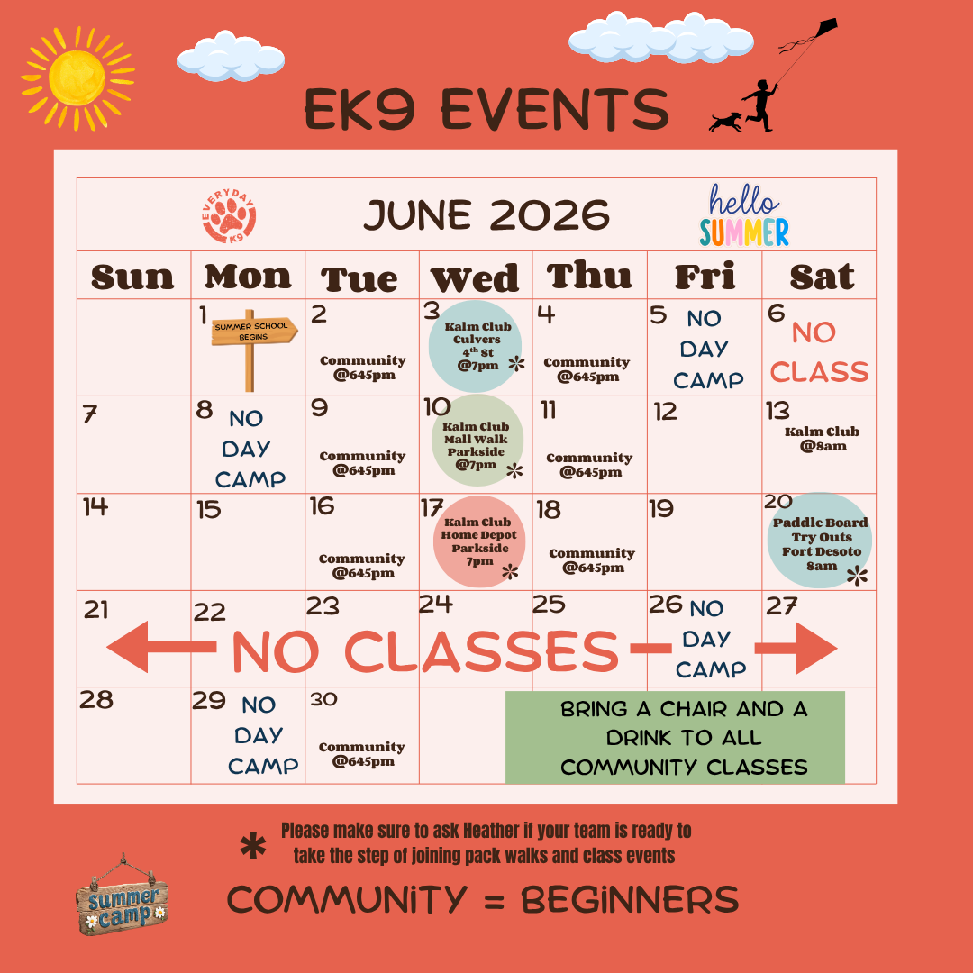 June 2026 community event calendar for EK9 Events, with various activities including community pack walks, Kalm Club meetings, paddle board try outs, and no day camp days, set against a colorful background with a sunny and playful summer theme.