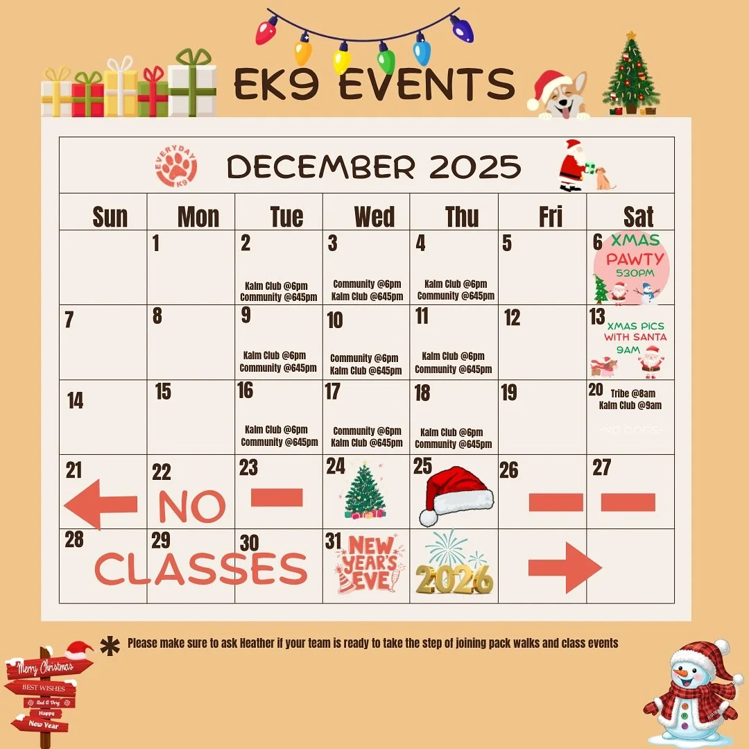 December Events are up! 🎄🐕