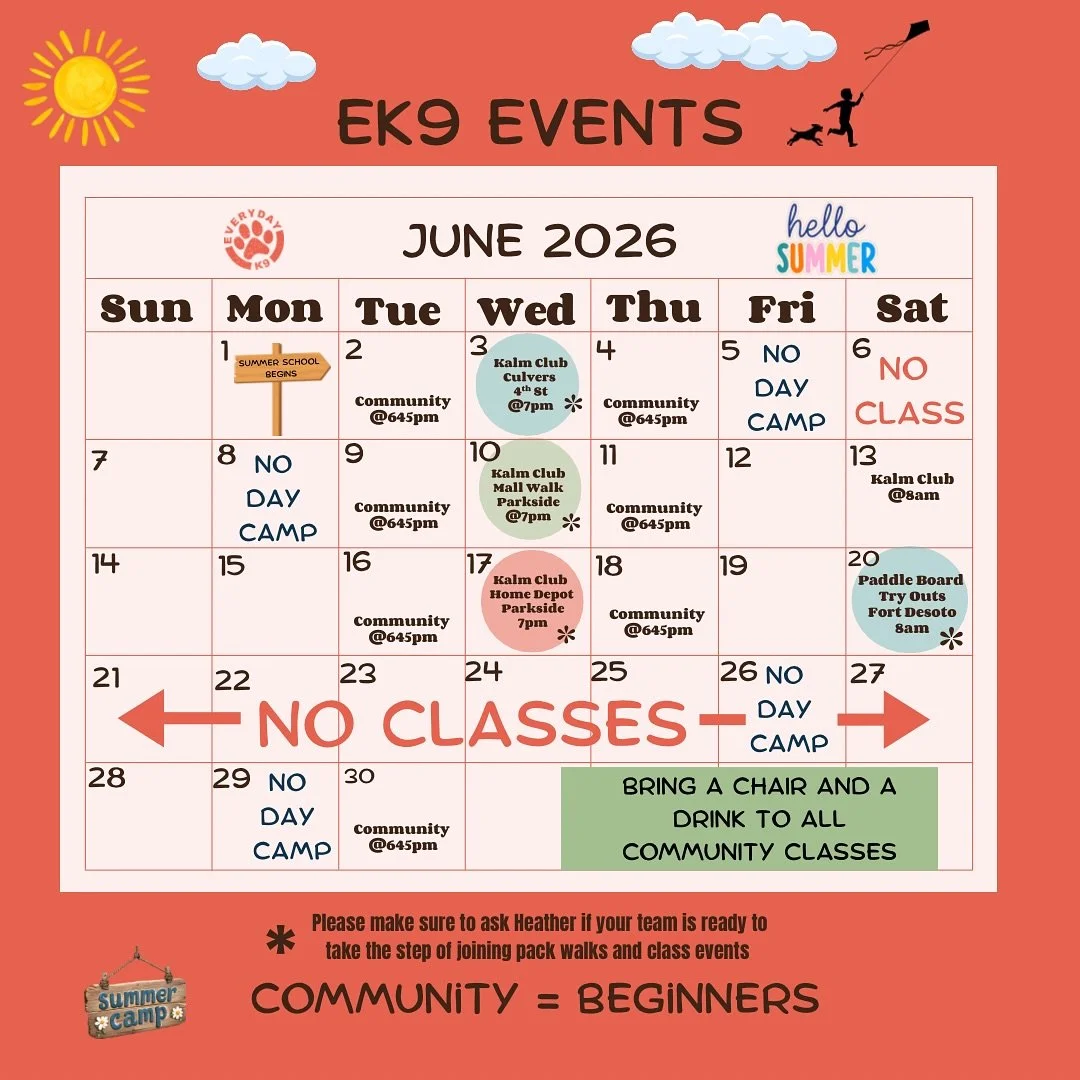June Events are up! 🐕