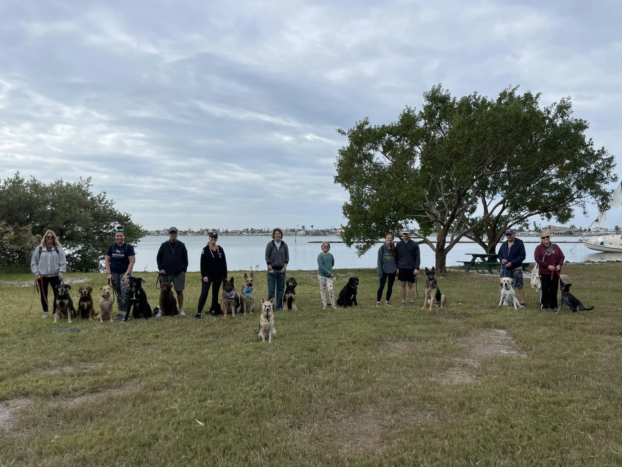 A group of people and dogs standing on grass near water with trees and boats in the background on a cloudy day. a community of like minded people training their dogs together