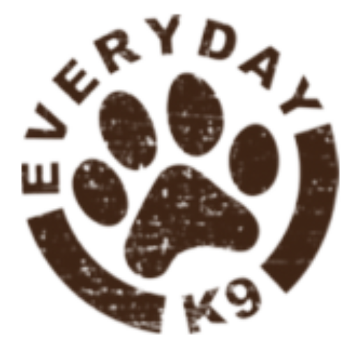 Everyday K9 – Dog Training in St. Petersburg