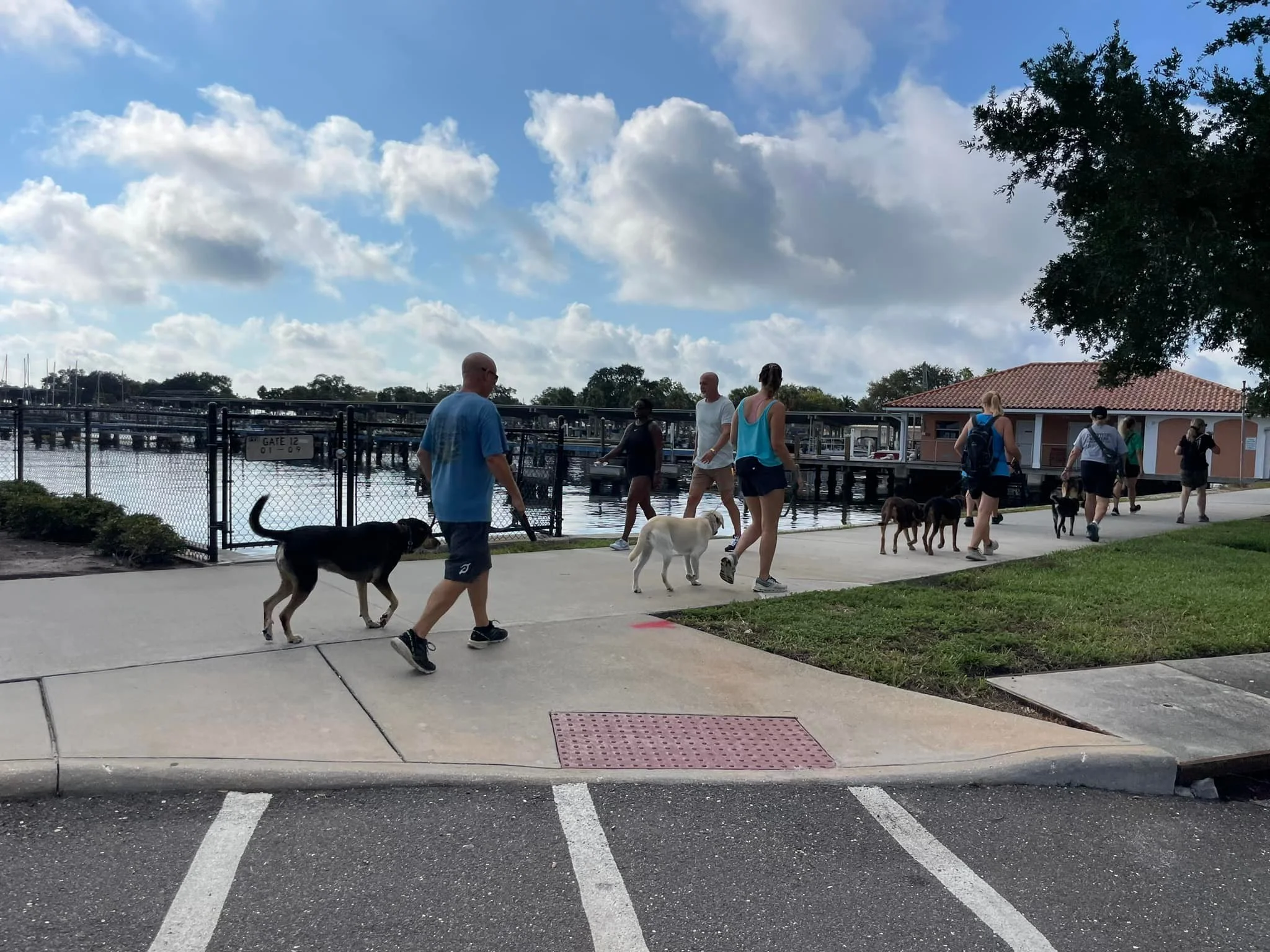 People walking dogs at a waterfront park on a sunny day with partly cloudy skies.