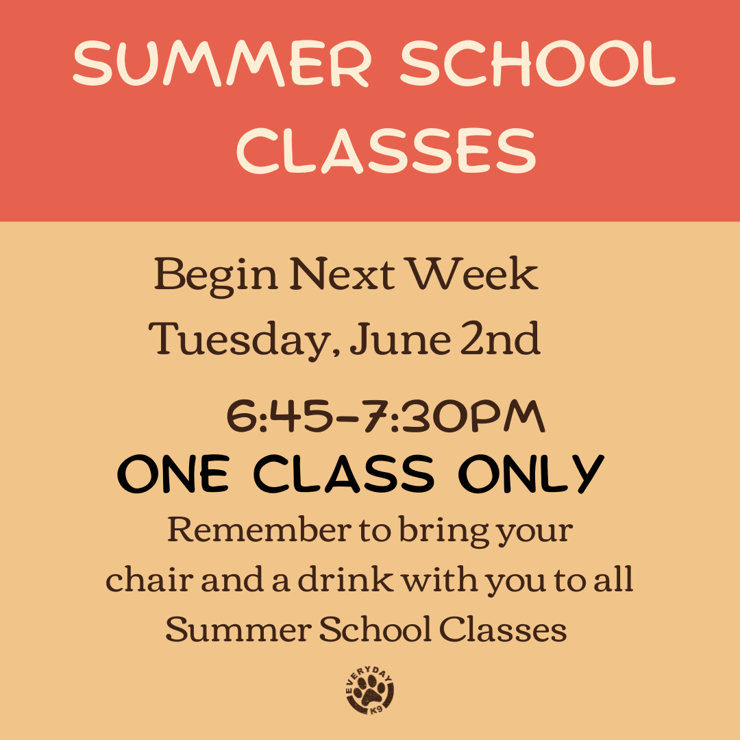 Summer school classes announcement with schedule details and reminder to bring chairs and drinks. Organized in a colorful layout. Logo of EveryDay K9 at the bottom.