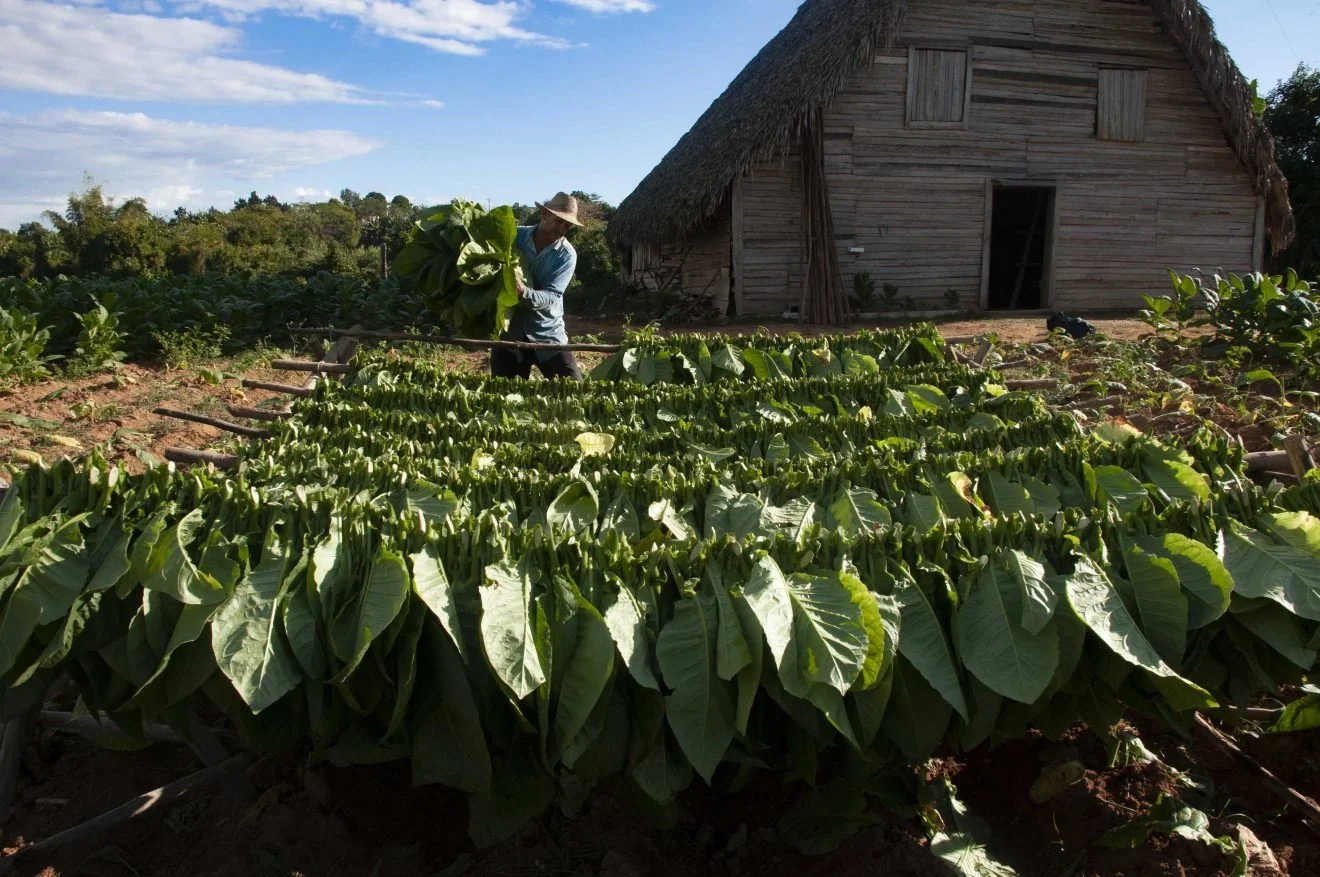 Cuba Beyond the Headlines: What Walking Across the Misunderstood Island Revealed